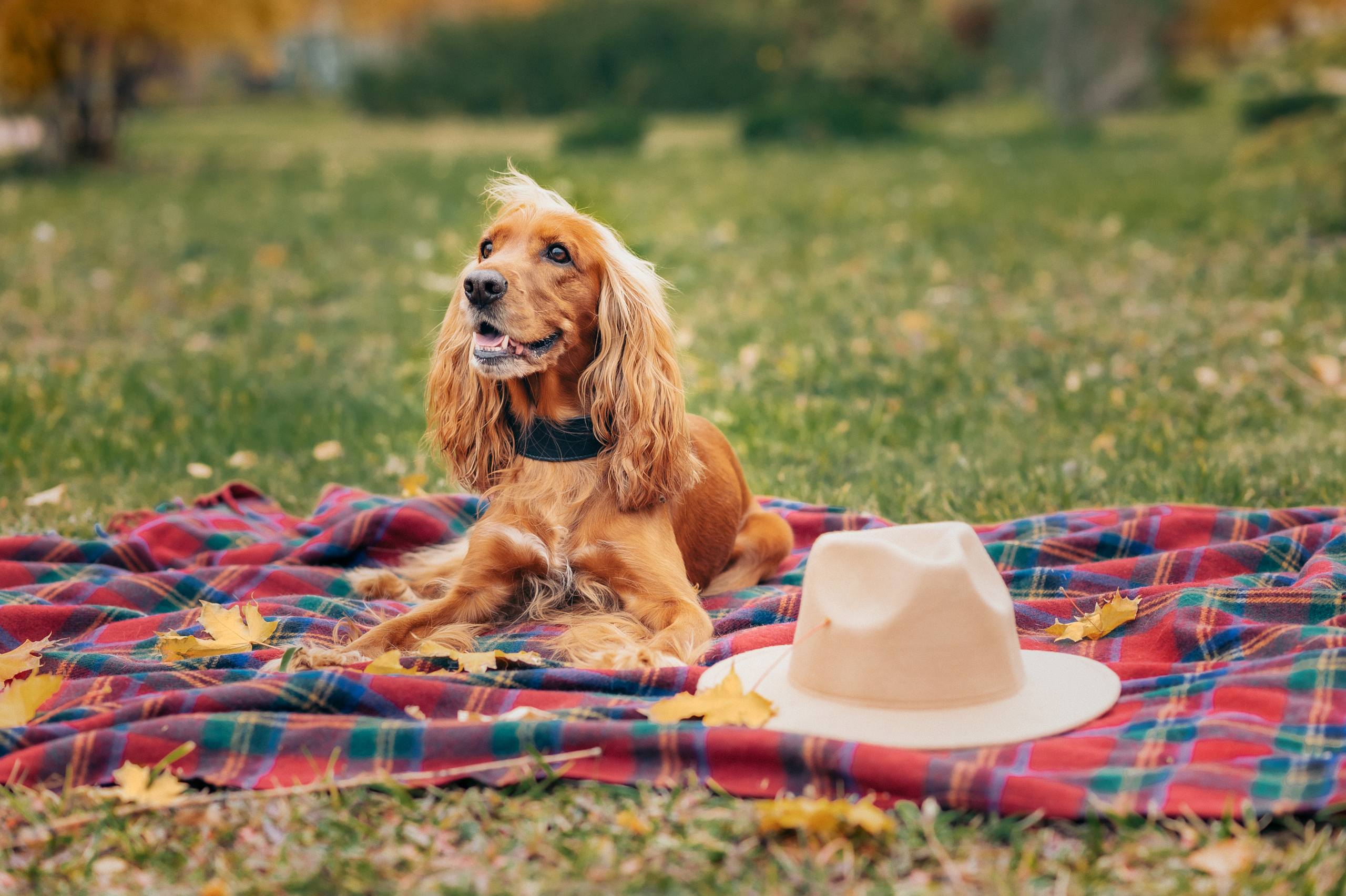 Осенняя фотосессия. Церковный фотограф на Таинство Крещения и Венчания в Оренбурге и Оренбургской области Екатерина Белкина