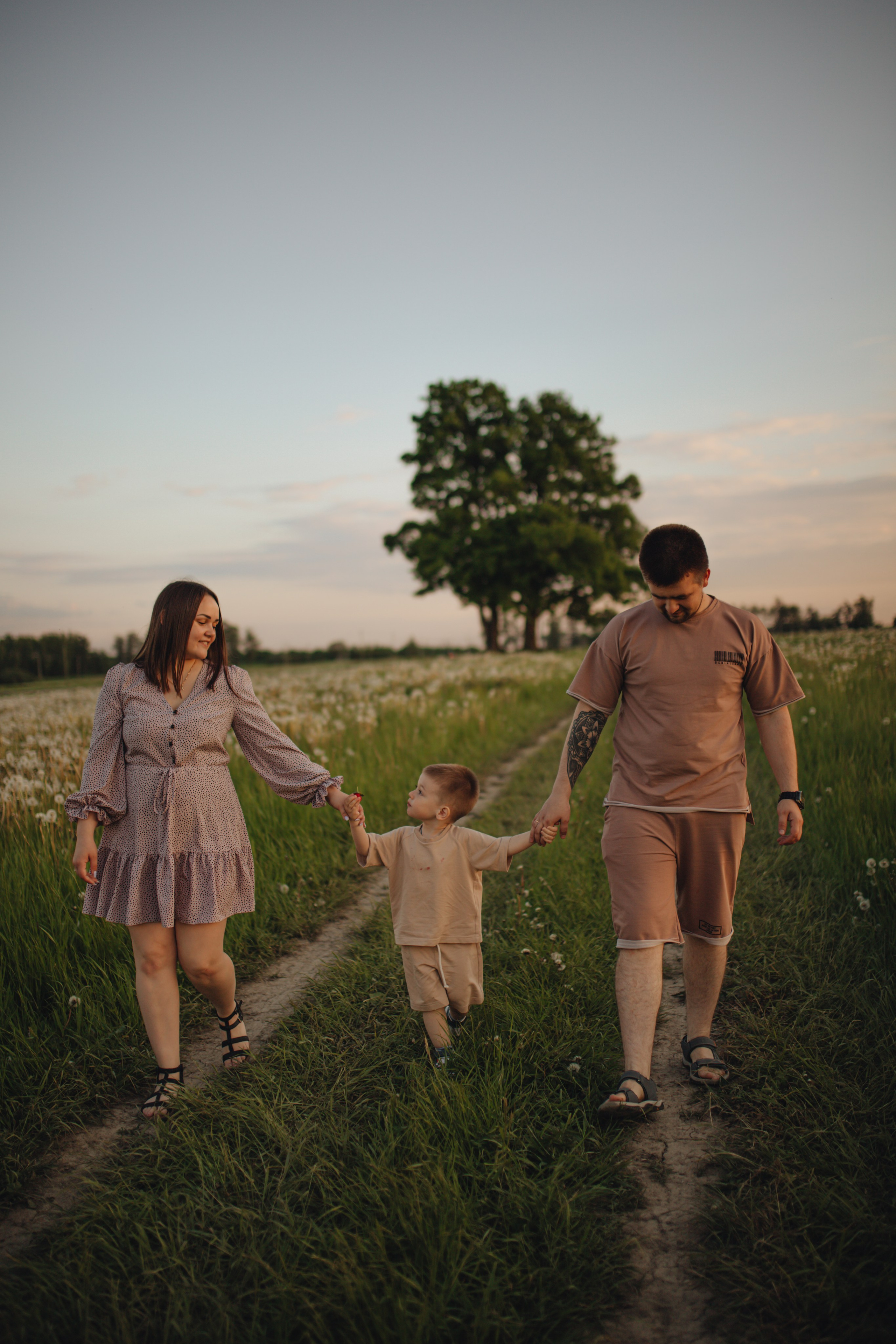 В поле на закате. Фотограф Винокурова Кристина в Санкт-Петербурге