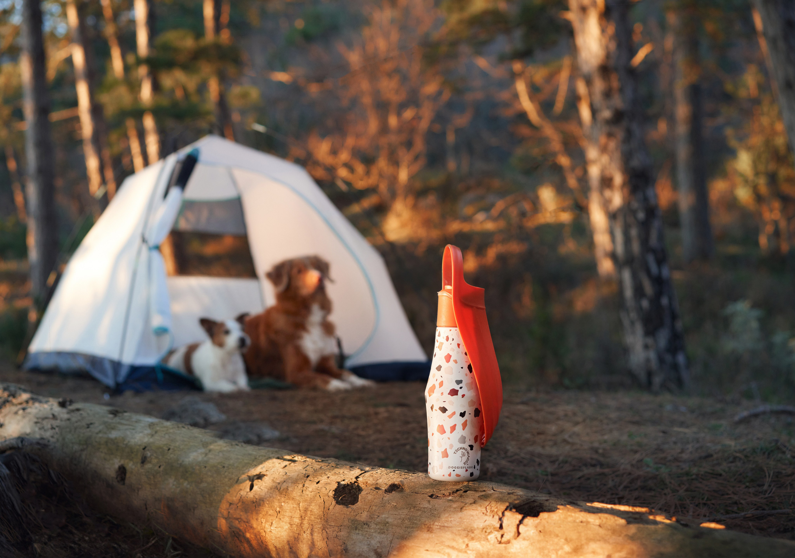 Advertising shooting with animals. Pets in advertising. Dog photographer Averianova Anna — Art photography of dogs