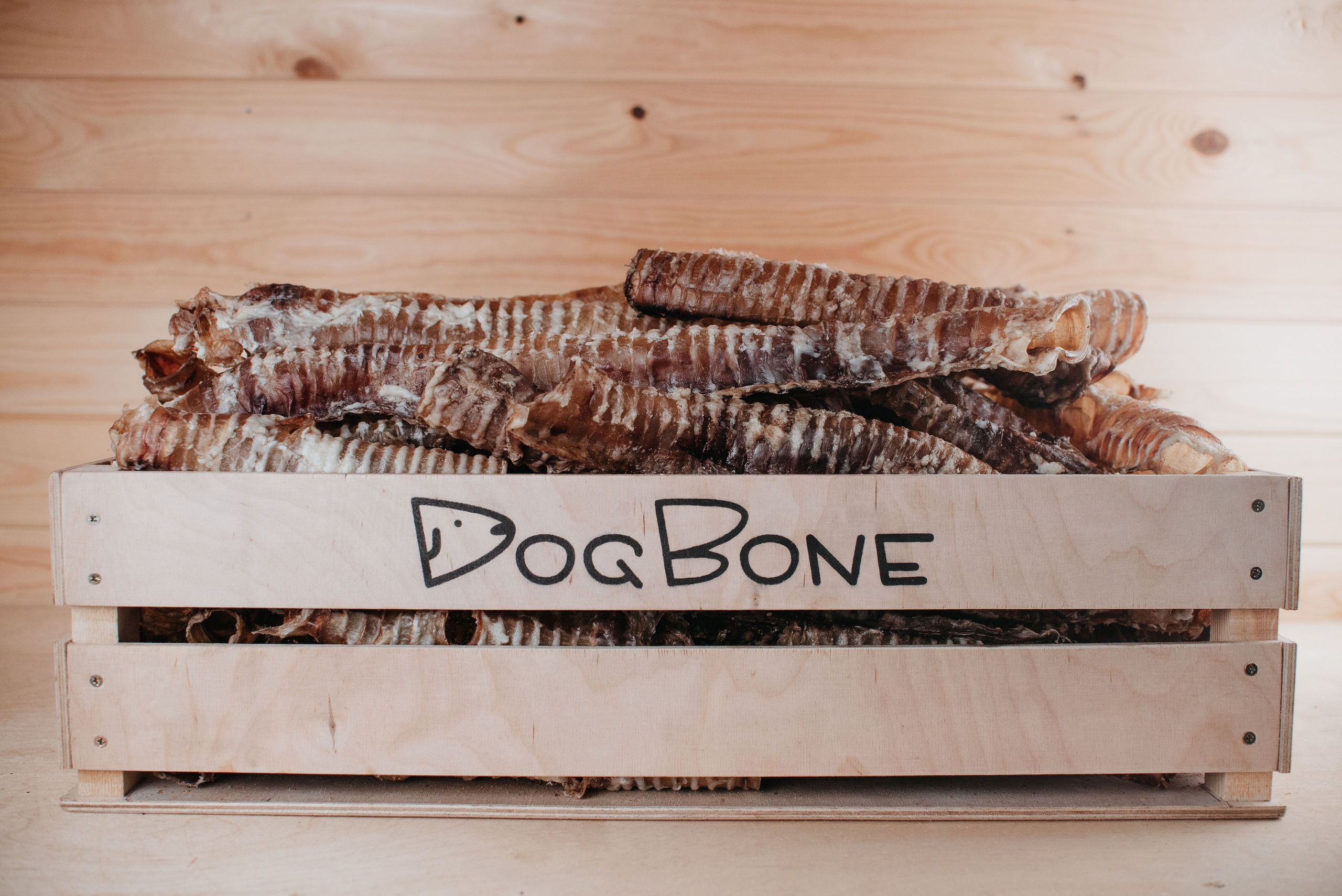 Dog Bone лакомства. Фотограф-анималист Валерия, Москва, Мытищи