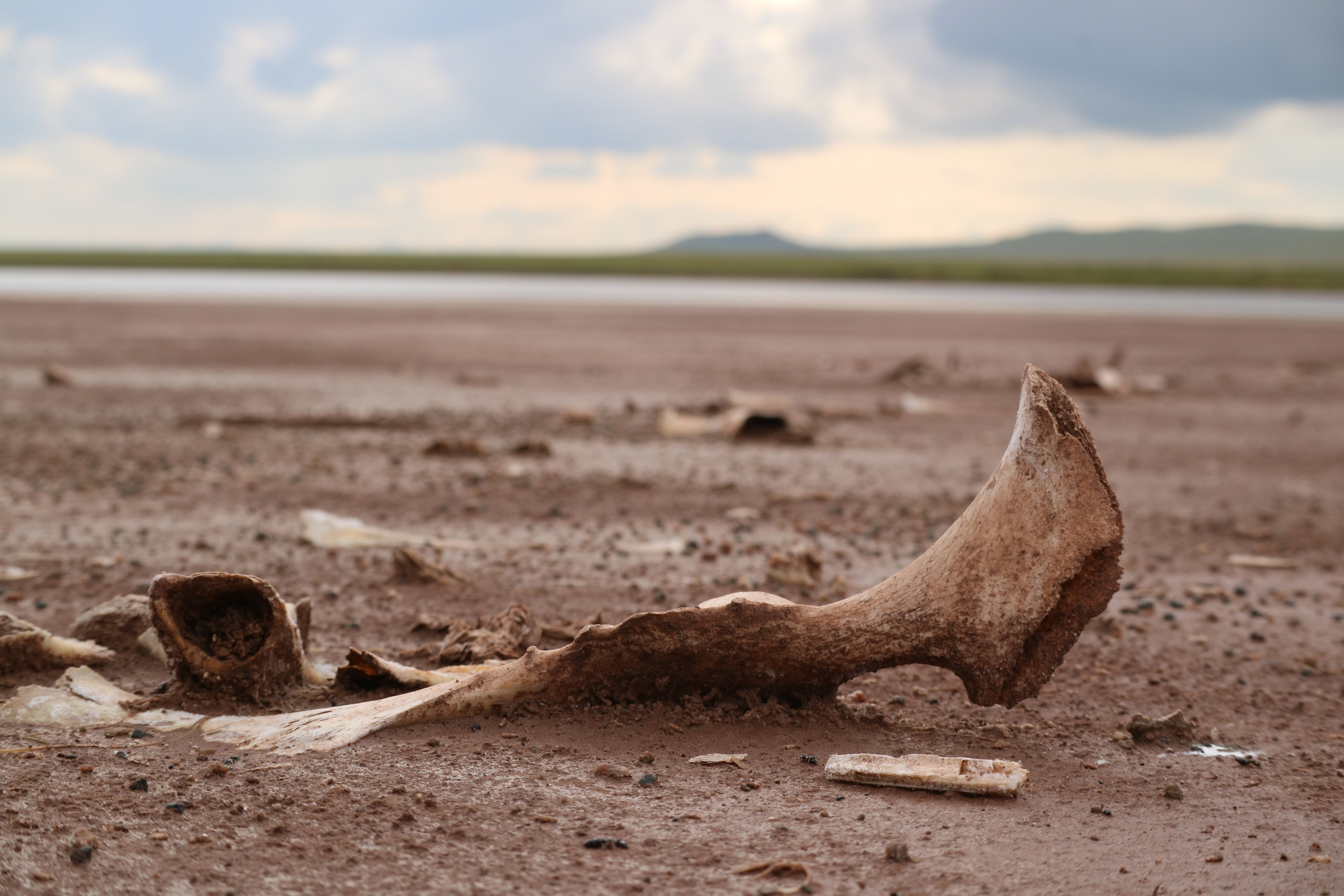 Репортажный и тревел фотограф Мокеров А.С