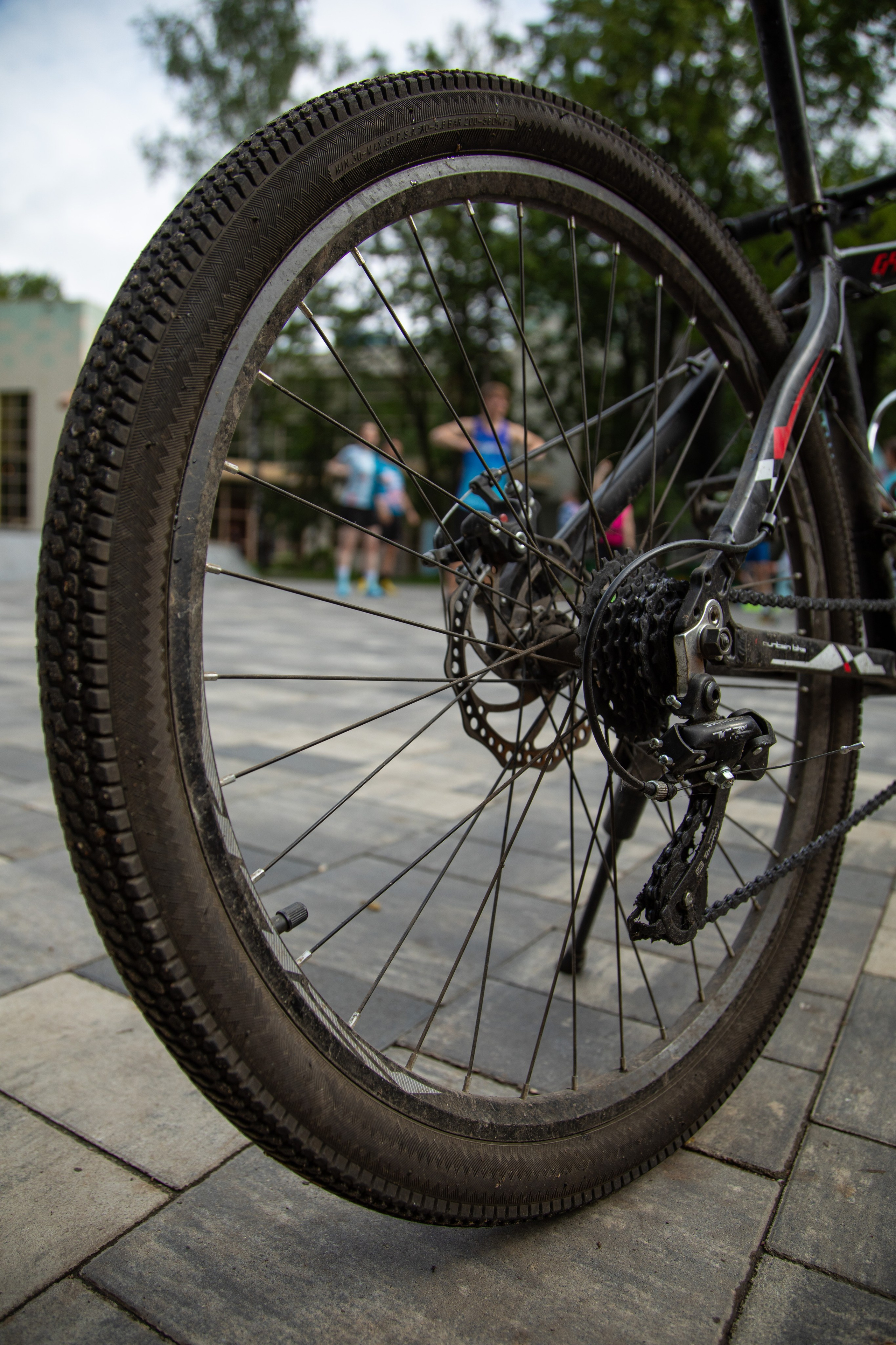 5 вёрст в Химках в День России, 12.06.24. Фотограф Сергей Ловкий