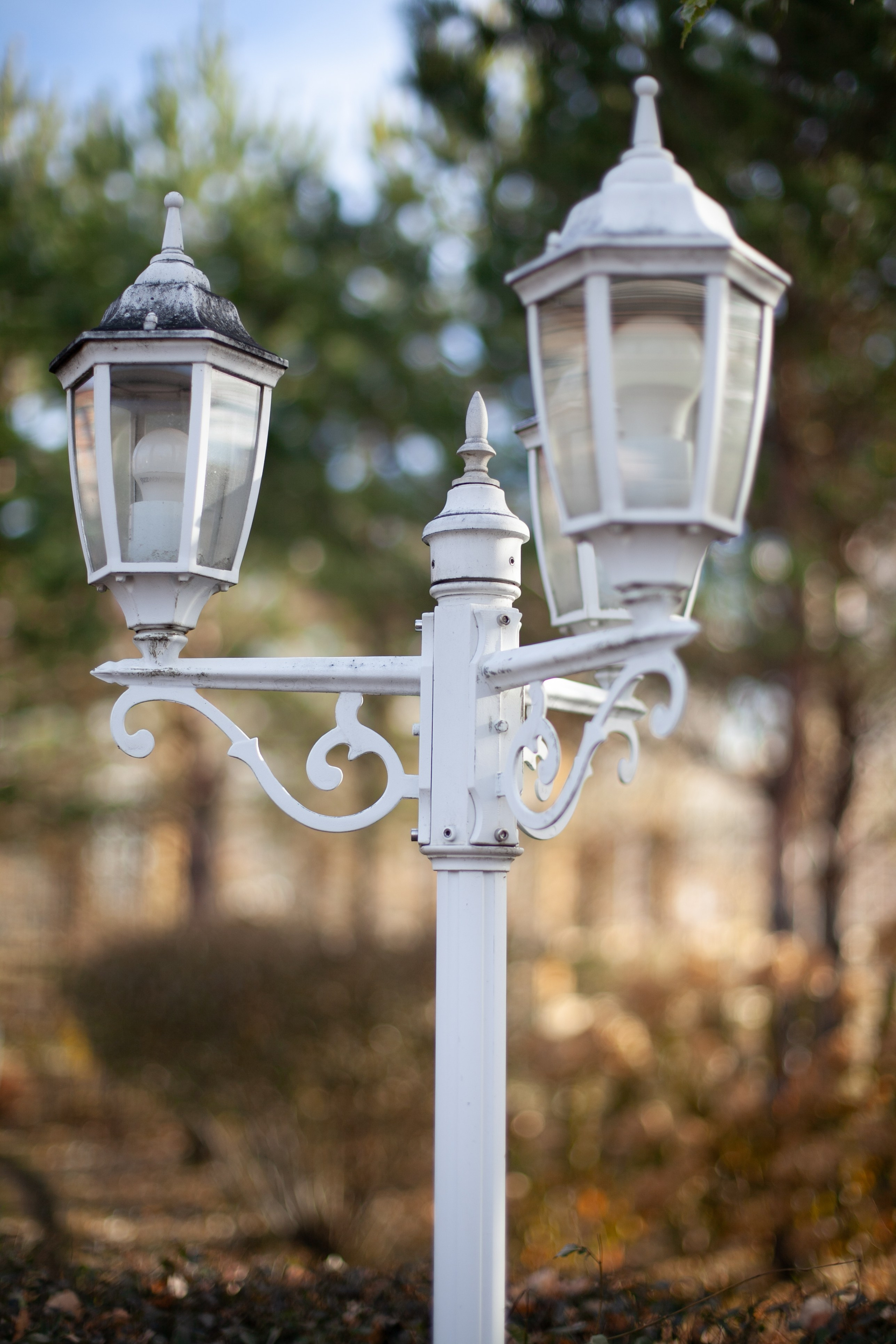 Сады Мечты. Контент для сайта. Фотограф Дарья Локотко в Красноярске