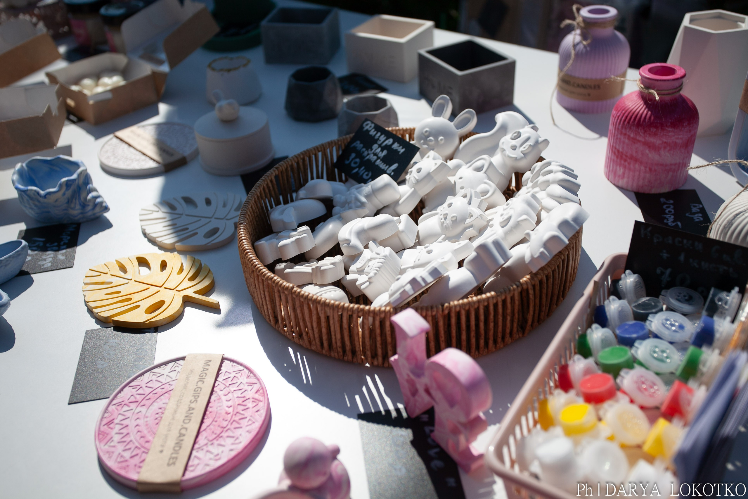 Умный фест. Фотограф Дарья Локотко в Красноярске