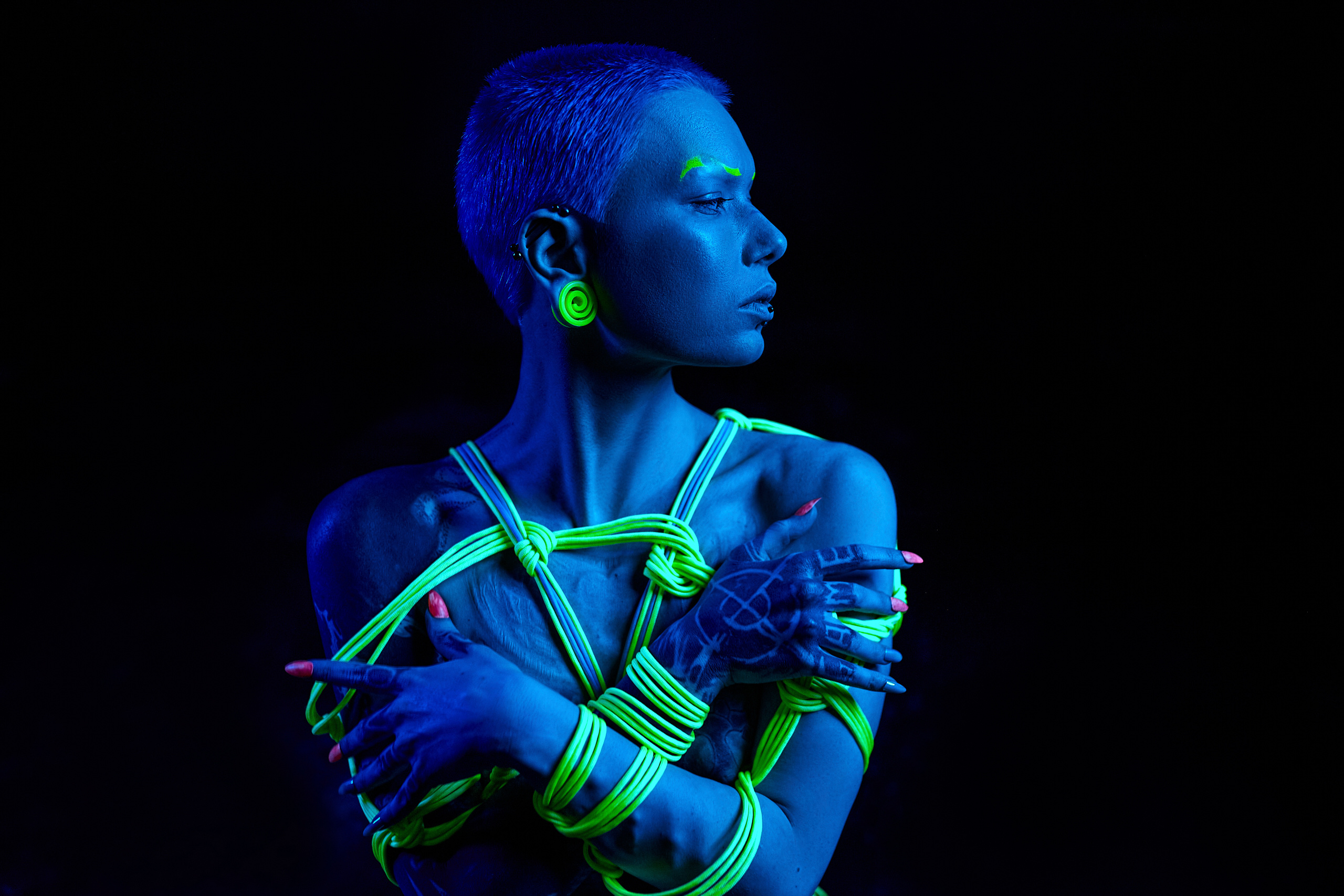 Studio. Shredguard Photo