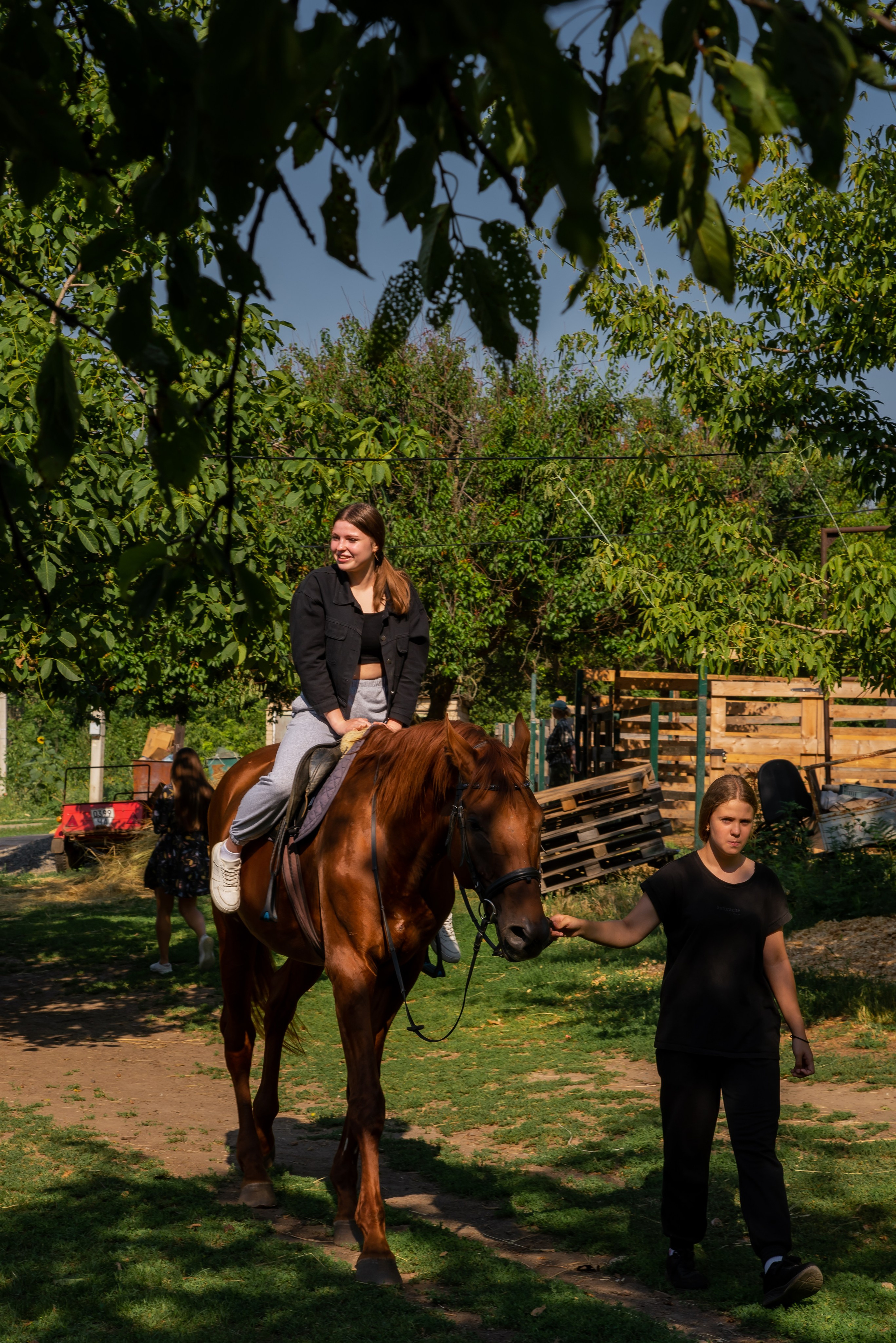 Конная прогулка. Фотограф Галина Нестерова