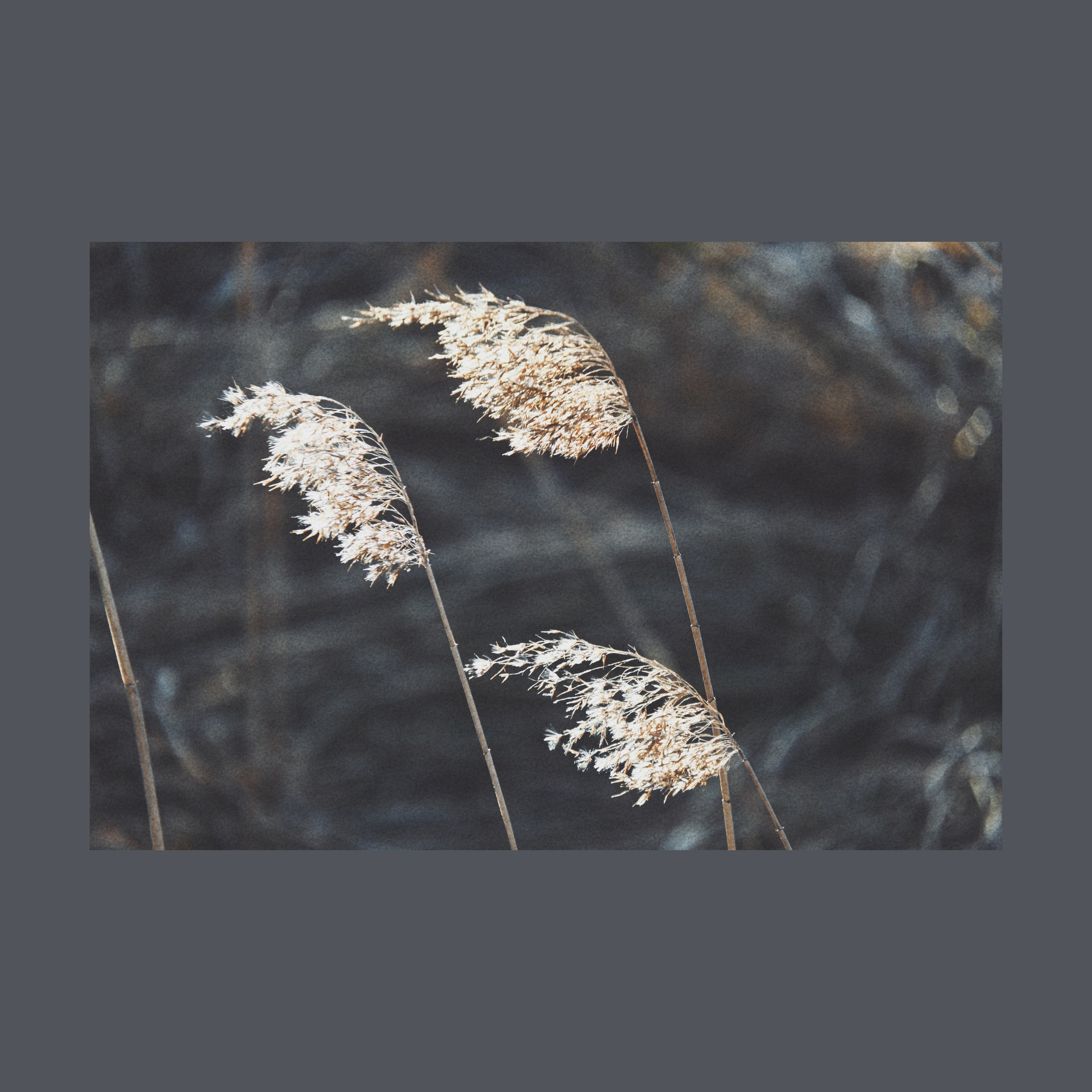 Тишина между берегами (серия). Мистические фотосессии в Санкт-Петербурге от мистика Ильи Шенгелия