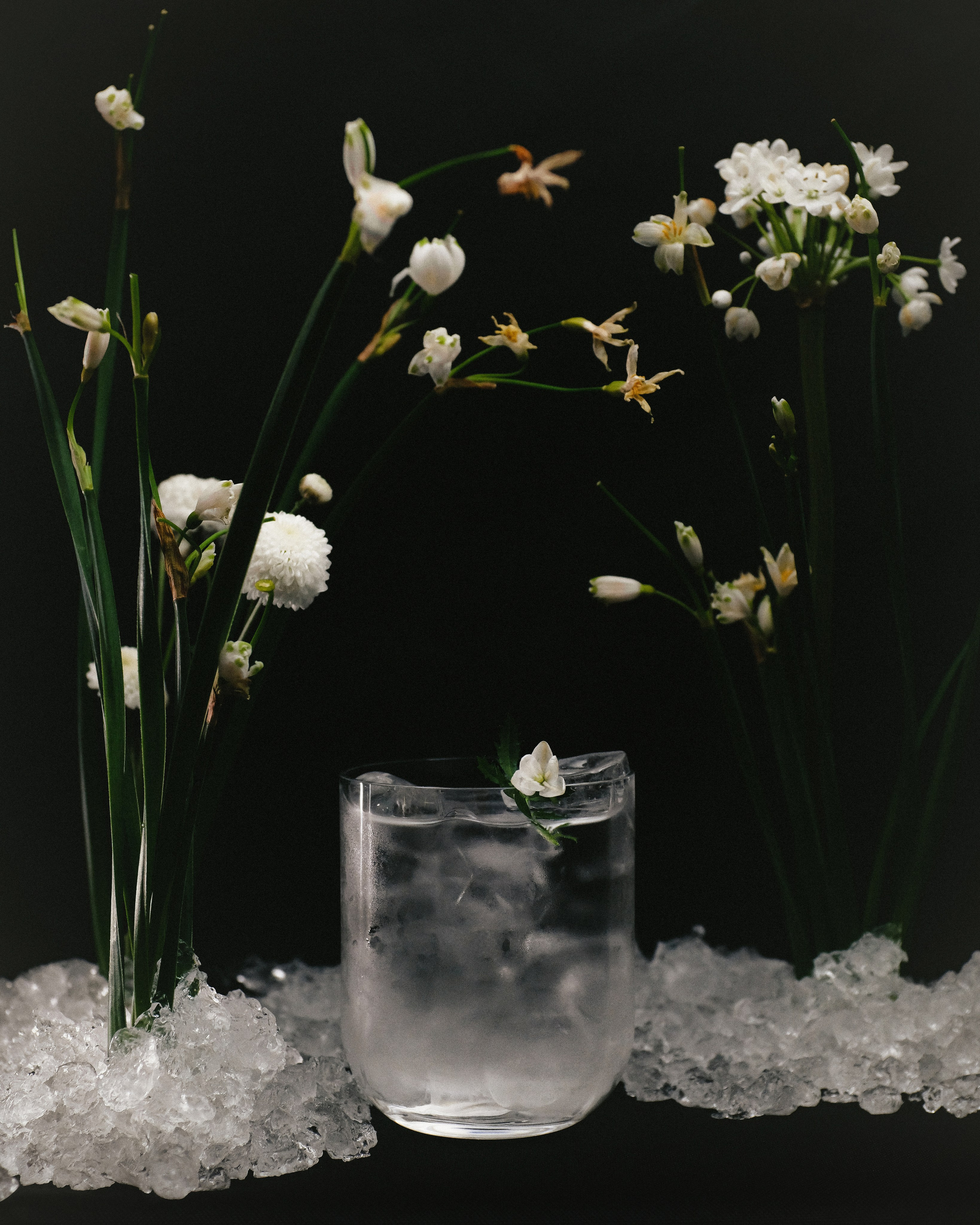 Doom of bloom x february bar. Портретный фотограф Алиса Санкт-Петербург