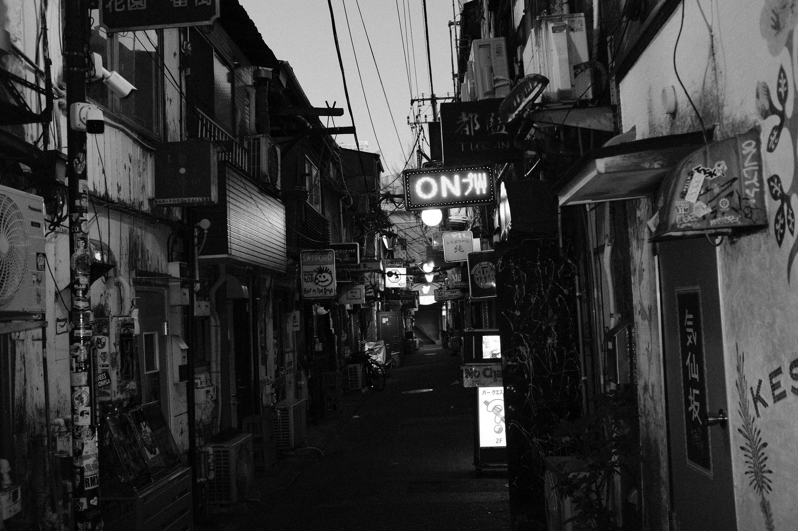 Faces of Tokyo. Regina Platonova