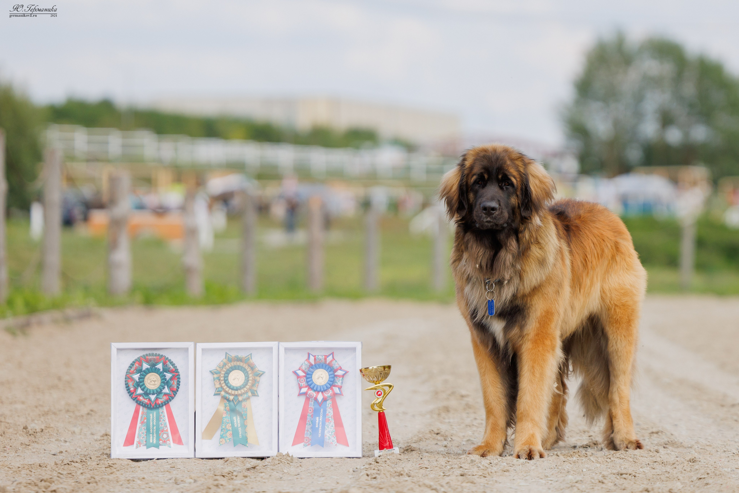 РОССИЯ 8-9.06.2024. Фотограф-анималист Юлия Германика