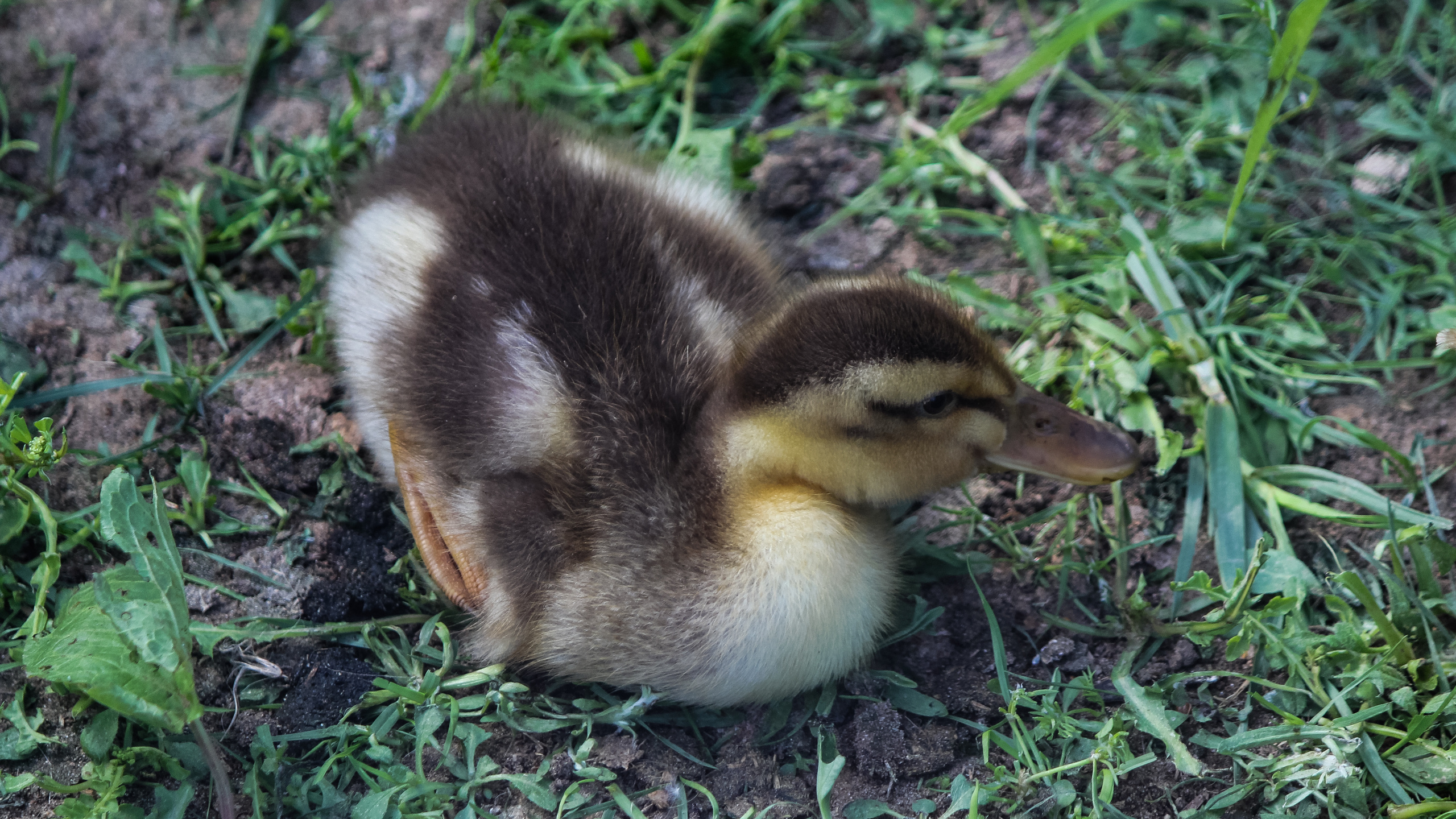 Экзотик Парк. Фотограф Сонкина Татьяна