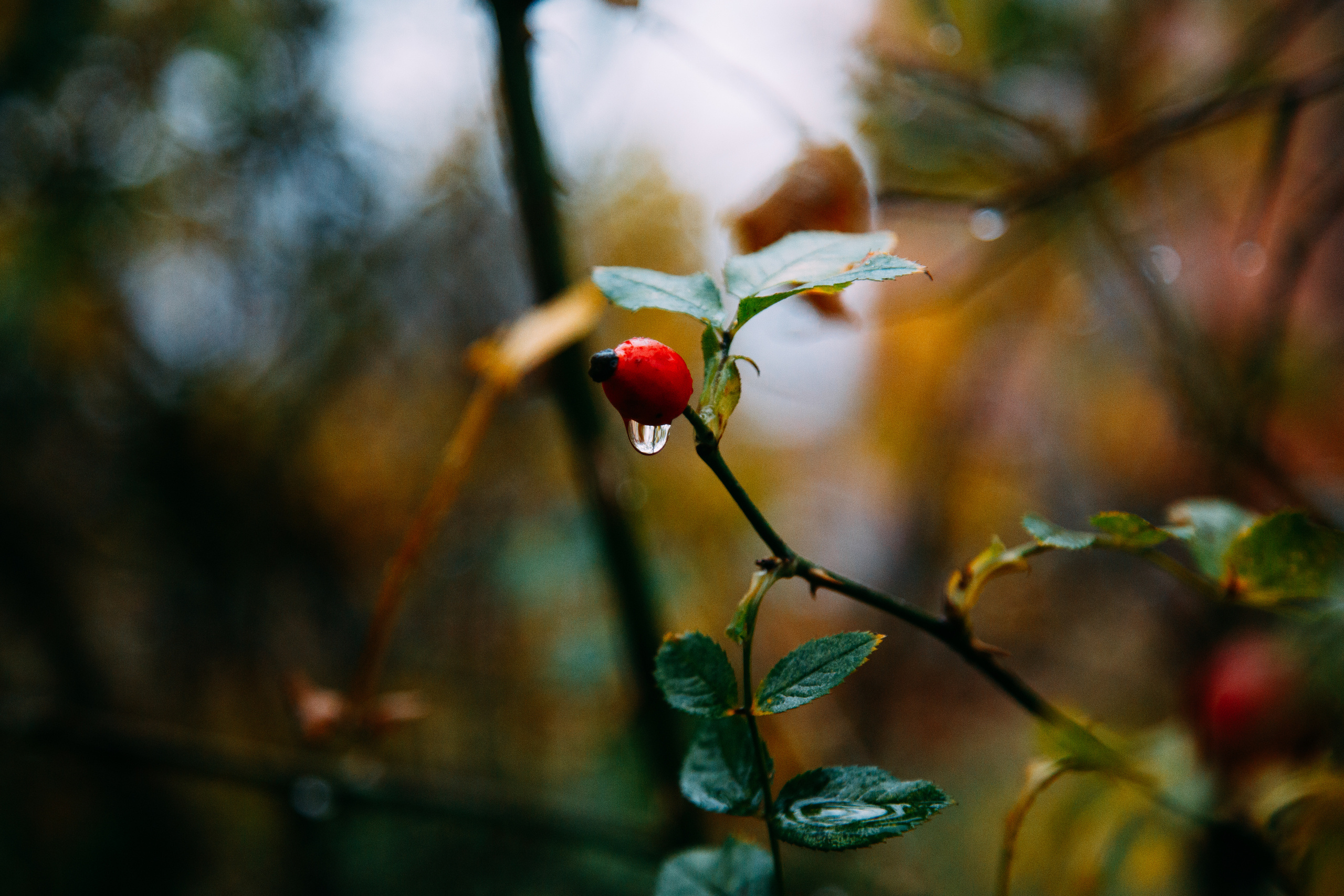 Коллекция пейзажных фотографий. Photographer Sonkina Tatiana (Tanya Ash)