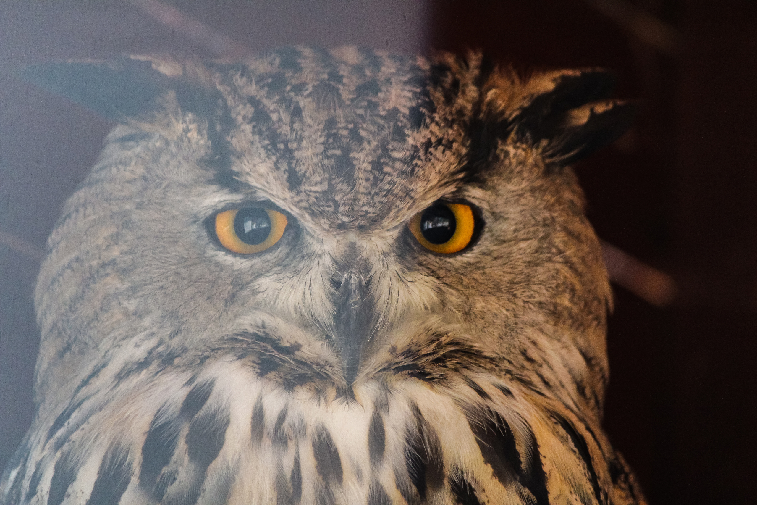 Экзотик Парк. Фотограф Сонкина Татьяна