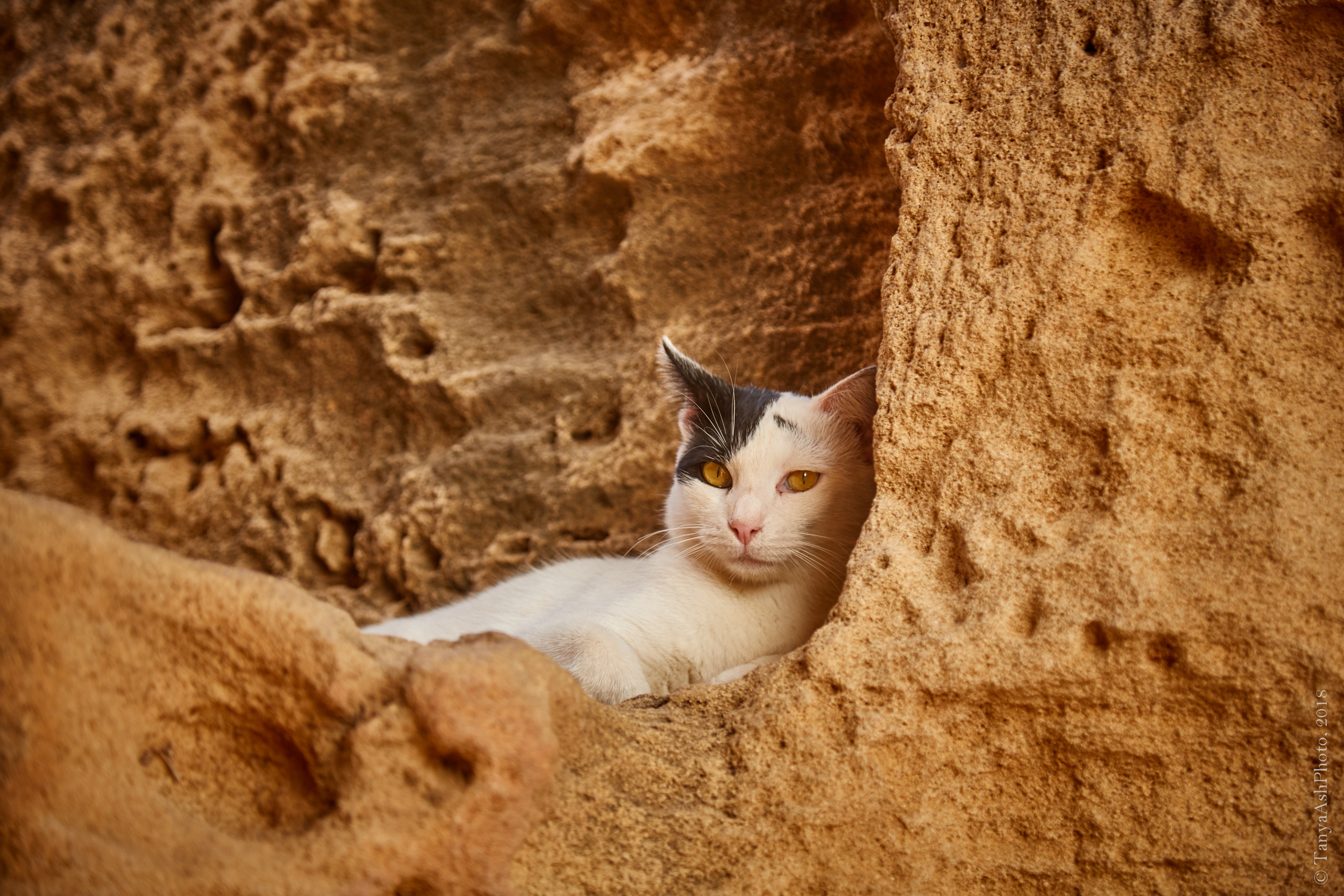 Фотографии Кипра и Пафоса. Photographer Sonkina Tatiana (Tanya Ash)