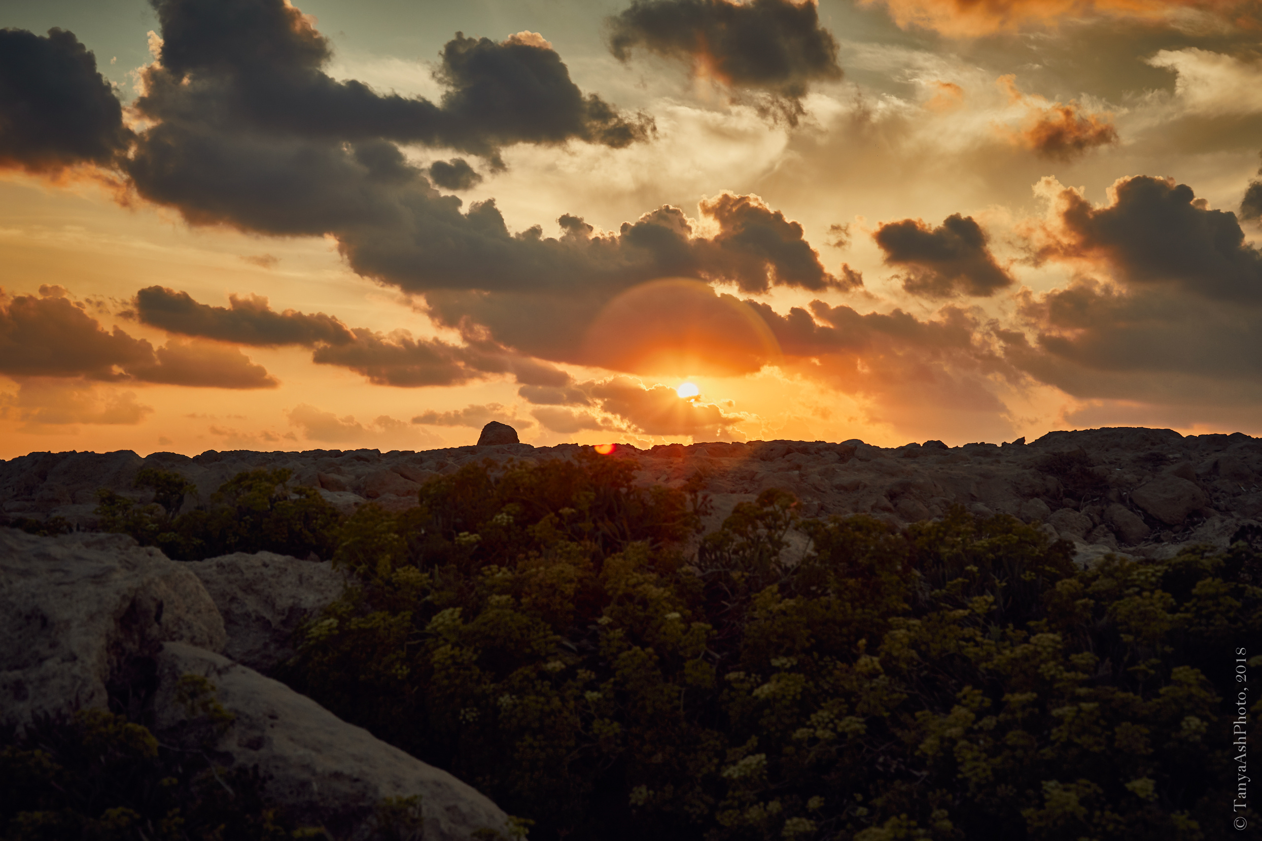 Фотографии Кипра и Пафоса. Photographer Sonkina Tatiana (Tanya Ash)