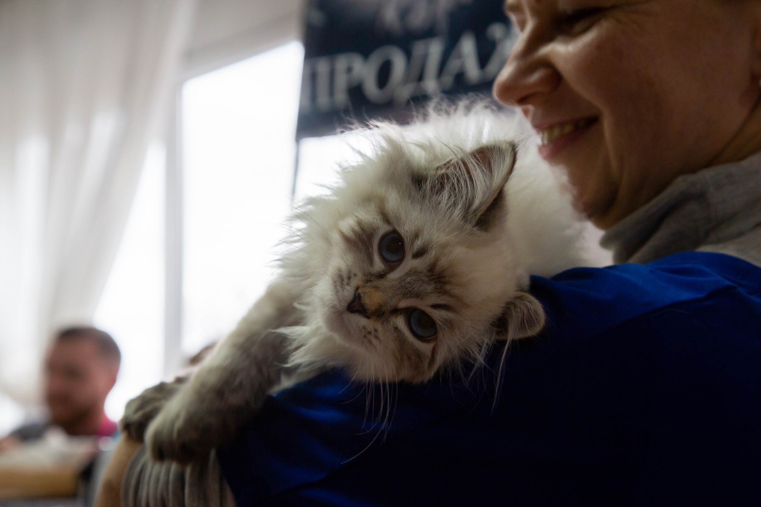 Felis 2018. Фотограф Сонкина Татьяна