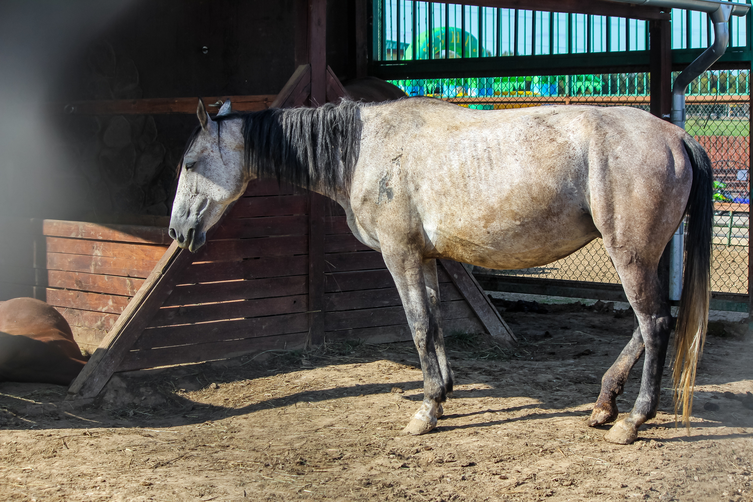 Экзотик Парк. Фотограф Сонкина Татьяна