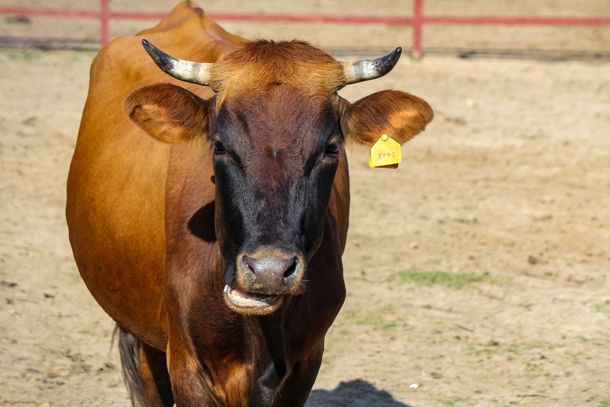 Экзотик Парк. Фотограф Сонкина Татьяна