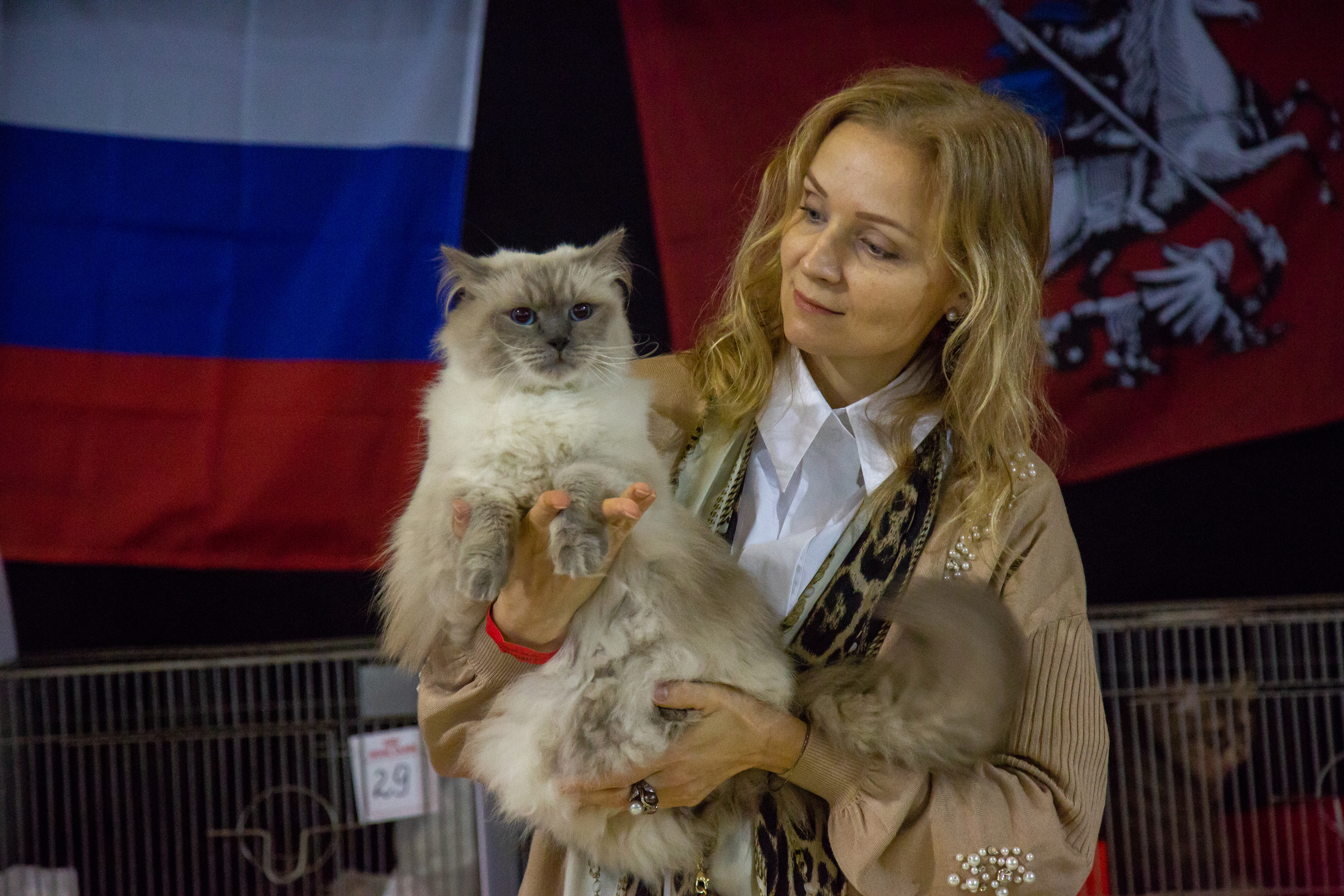 Felis 2018. Фотограф Сонкина Татьяна