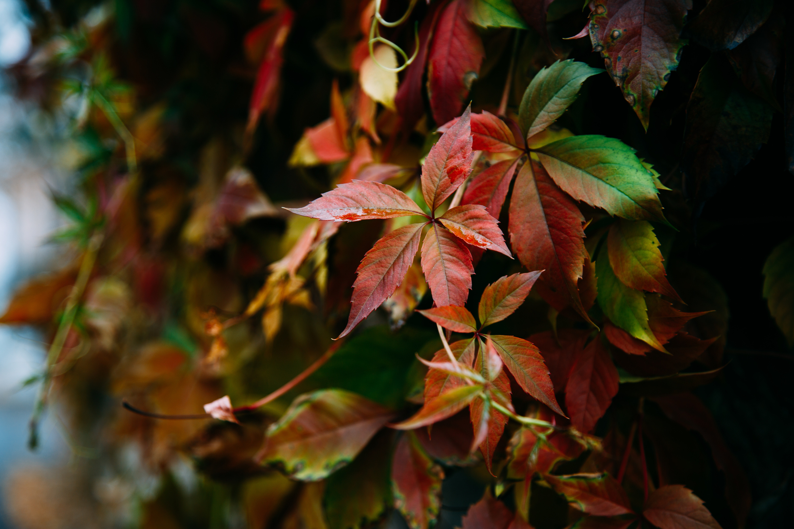 Коллекция пейзажных фотографий. Photographer Sonkina Tatiana (Tanya Ash)