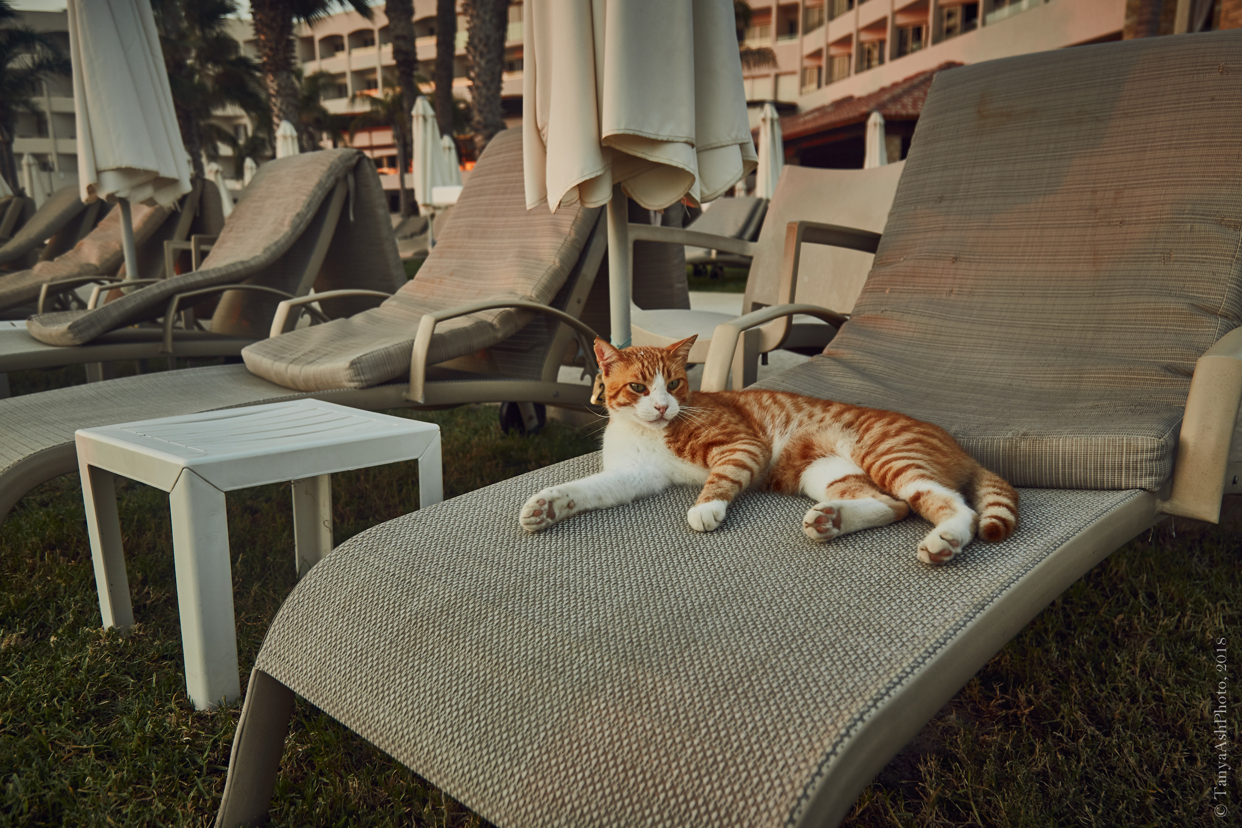 Фотографии Кипра и Пафоса. Photographer Sonkina Tatiana (Tanya Ash)