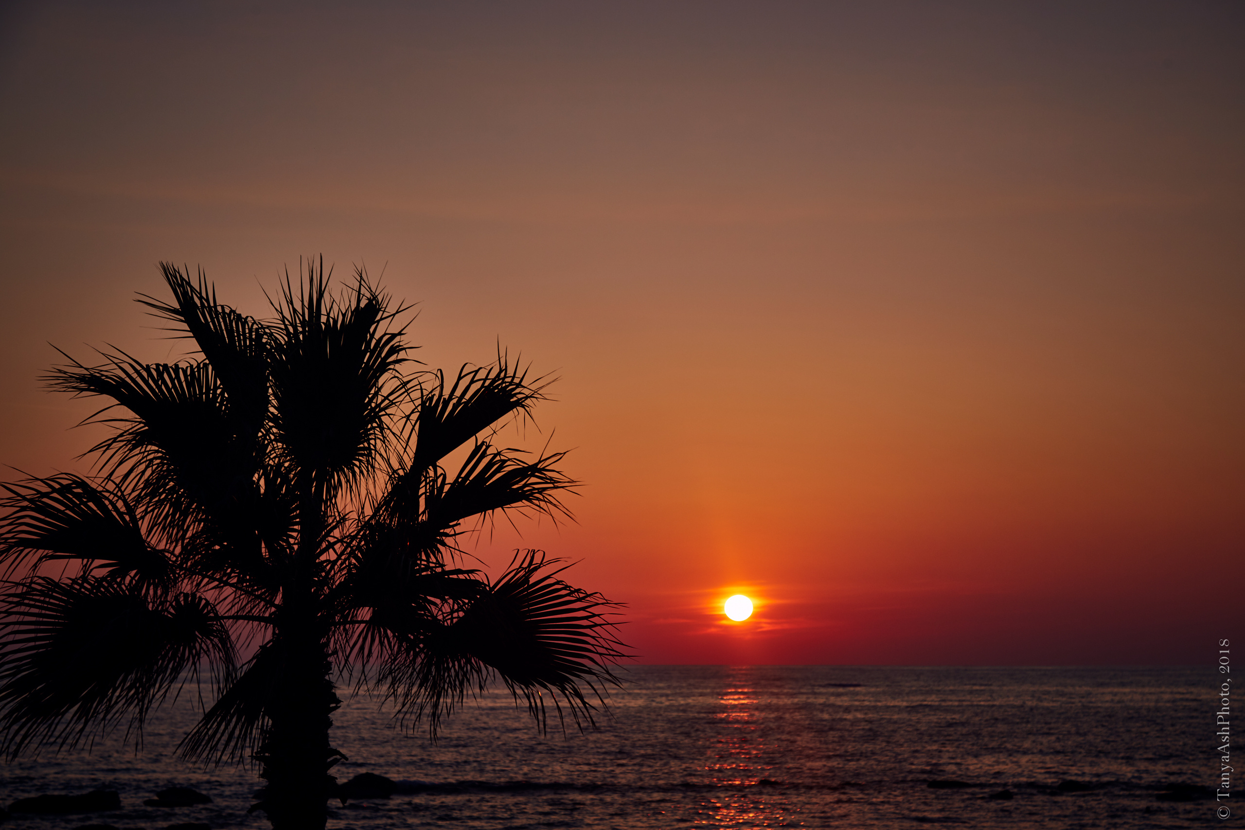 Фотографии Кипра и Пафоса. Photographer Sonkina Tatiana (Tanya Ash)