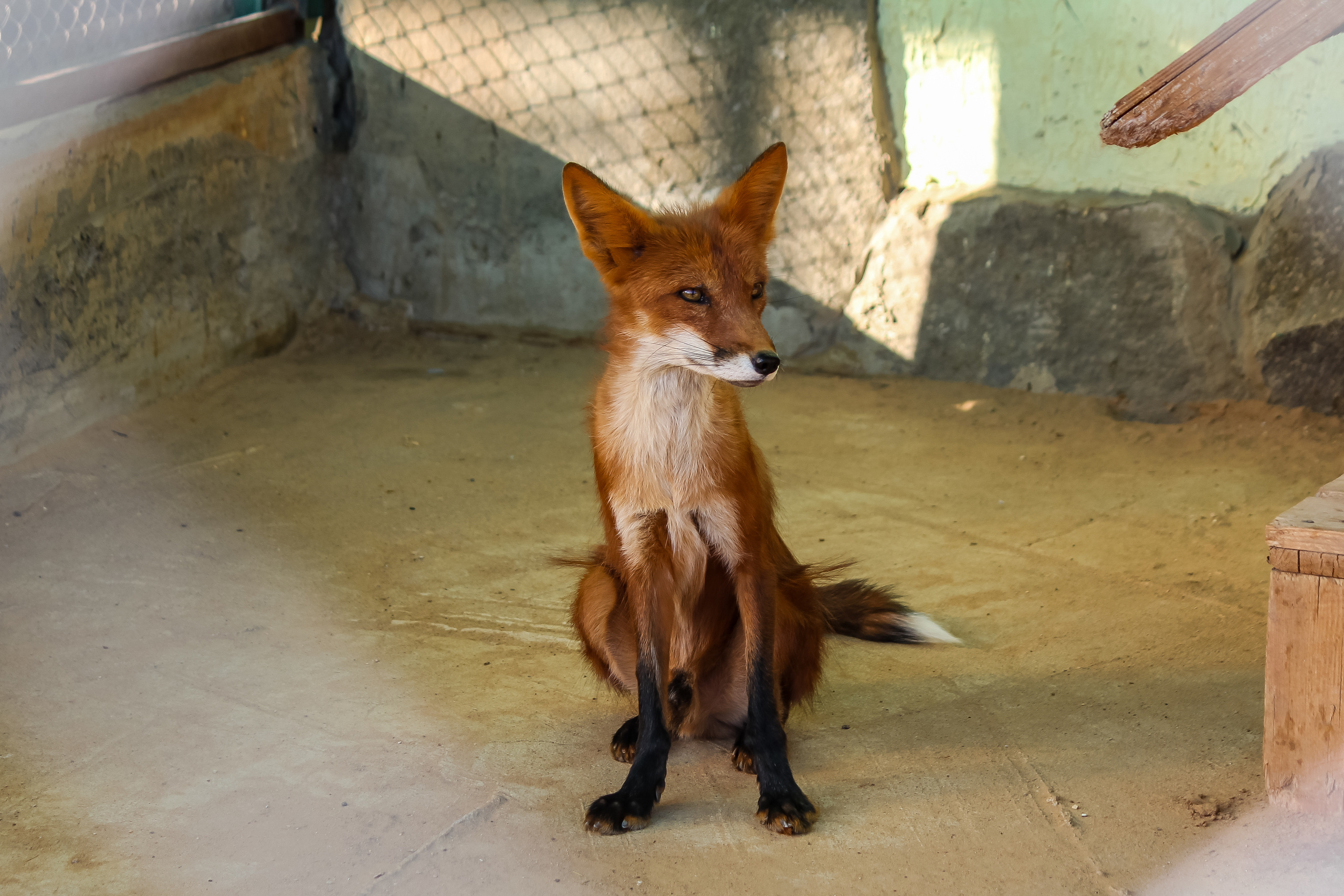 Экзотик Парк. Фотограф Сонкина Татьяна