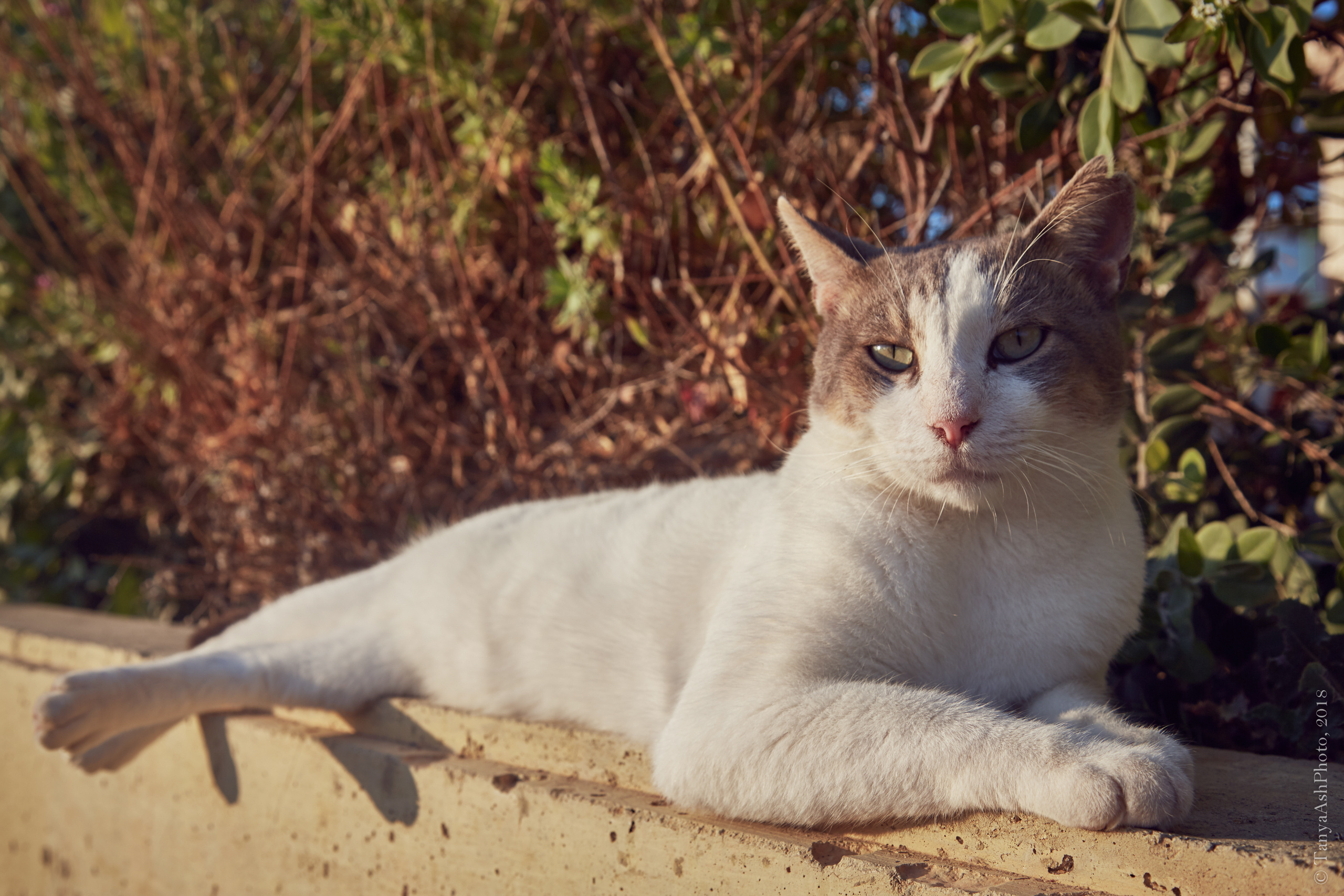 Фотографии Кипра и Пафоса. Photographer Sonkina Tatiana (Tanya Ash)