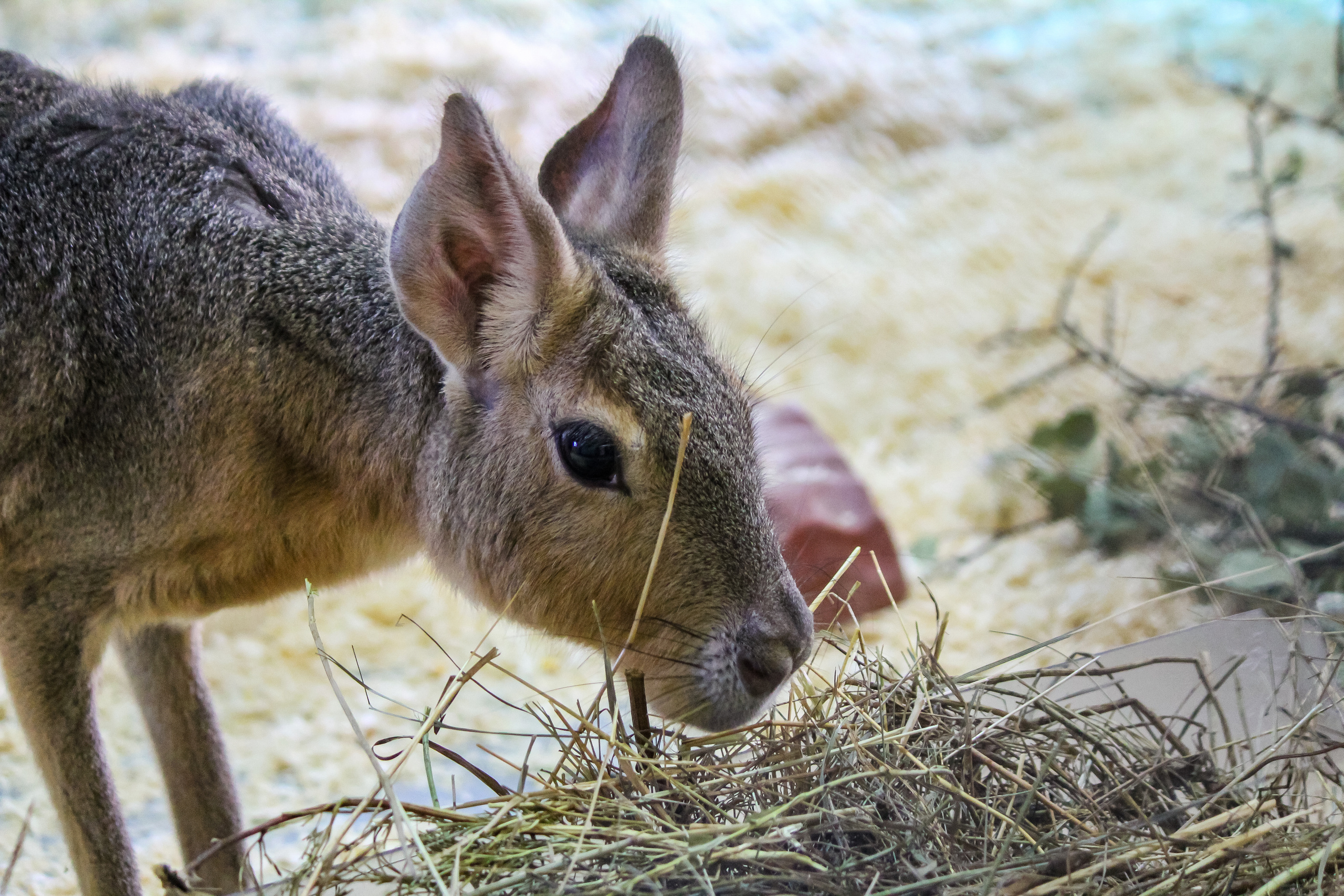 Экзотик Парк. Фотограф Сонкина Татьяна