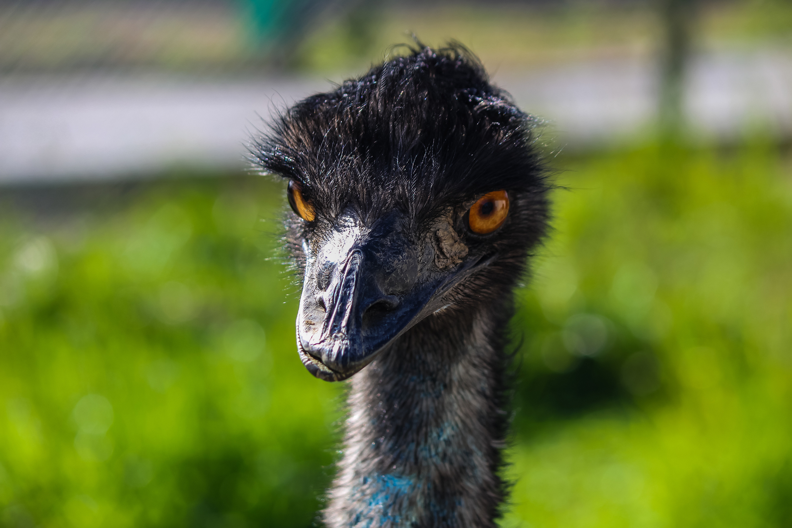 Экзотик Парк. Фотограф Сонкина Татьяна