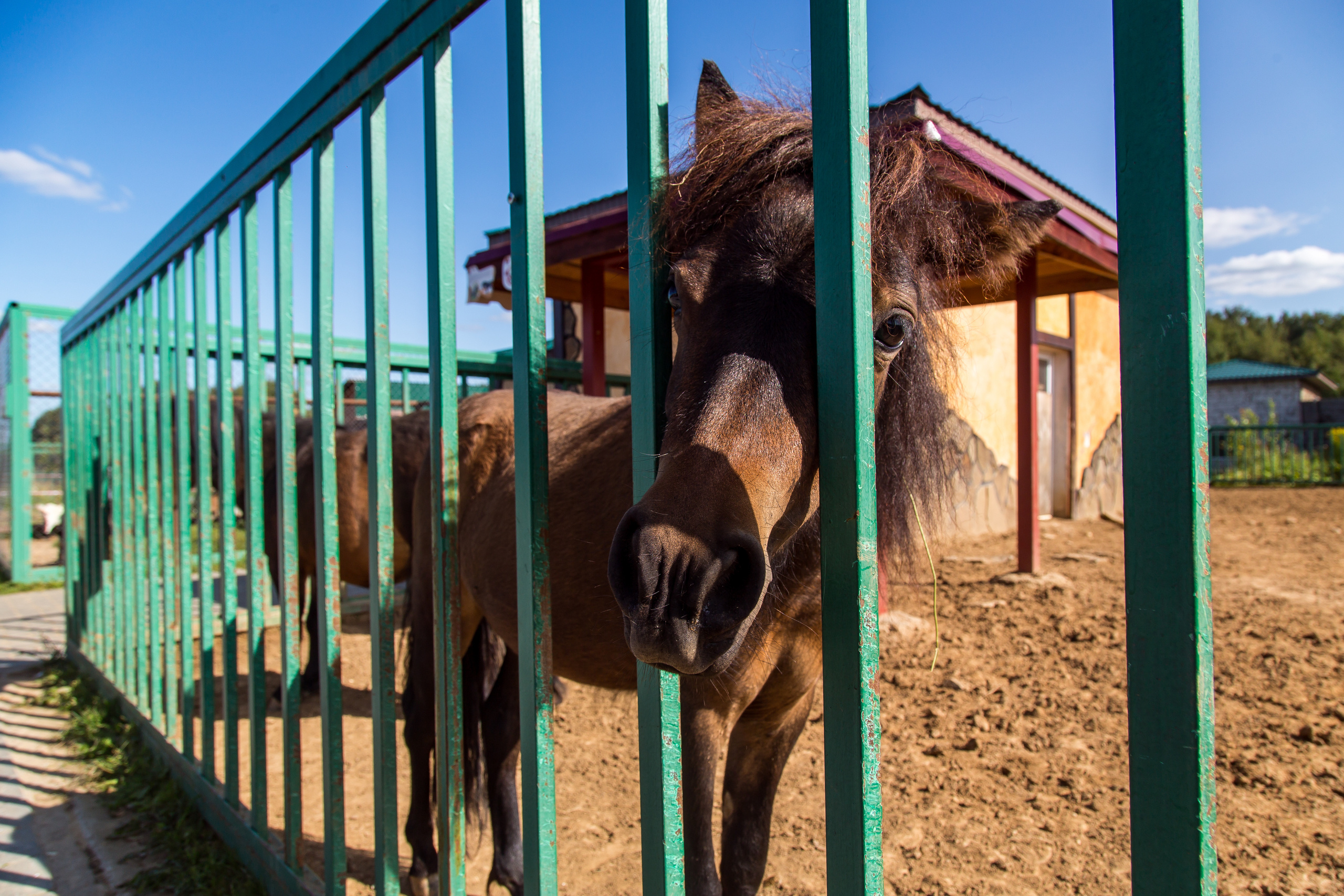 Экзотик Парк. Фотограф Сонкина Татьяна