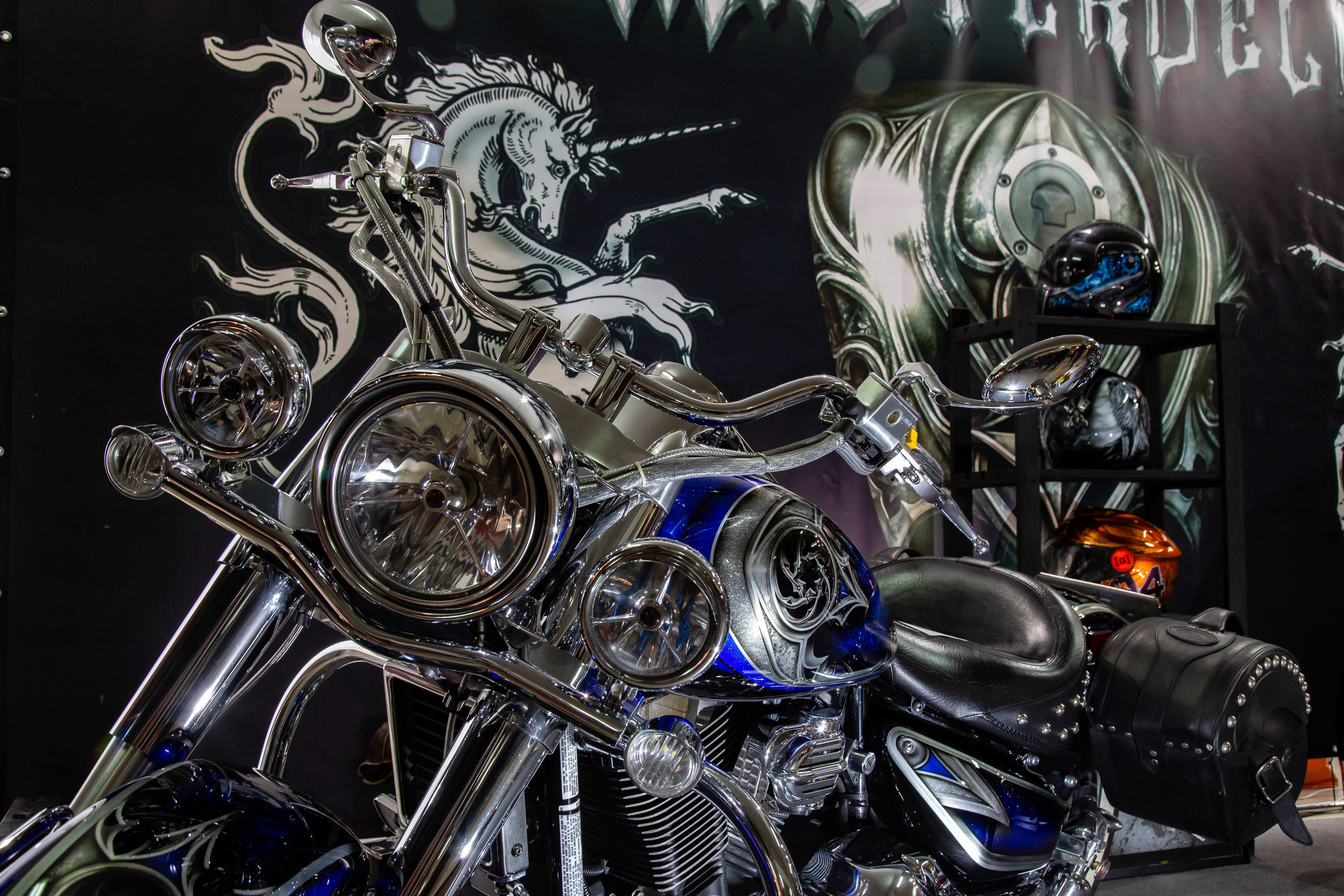 Выставка "Мотозима 2018". Фотограф Сонкина Татьяна