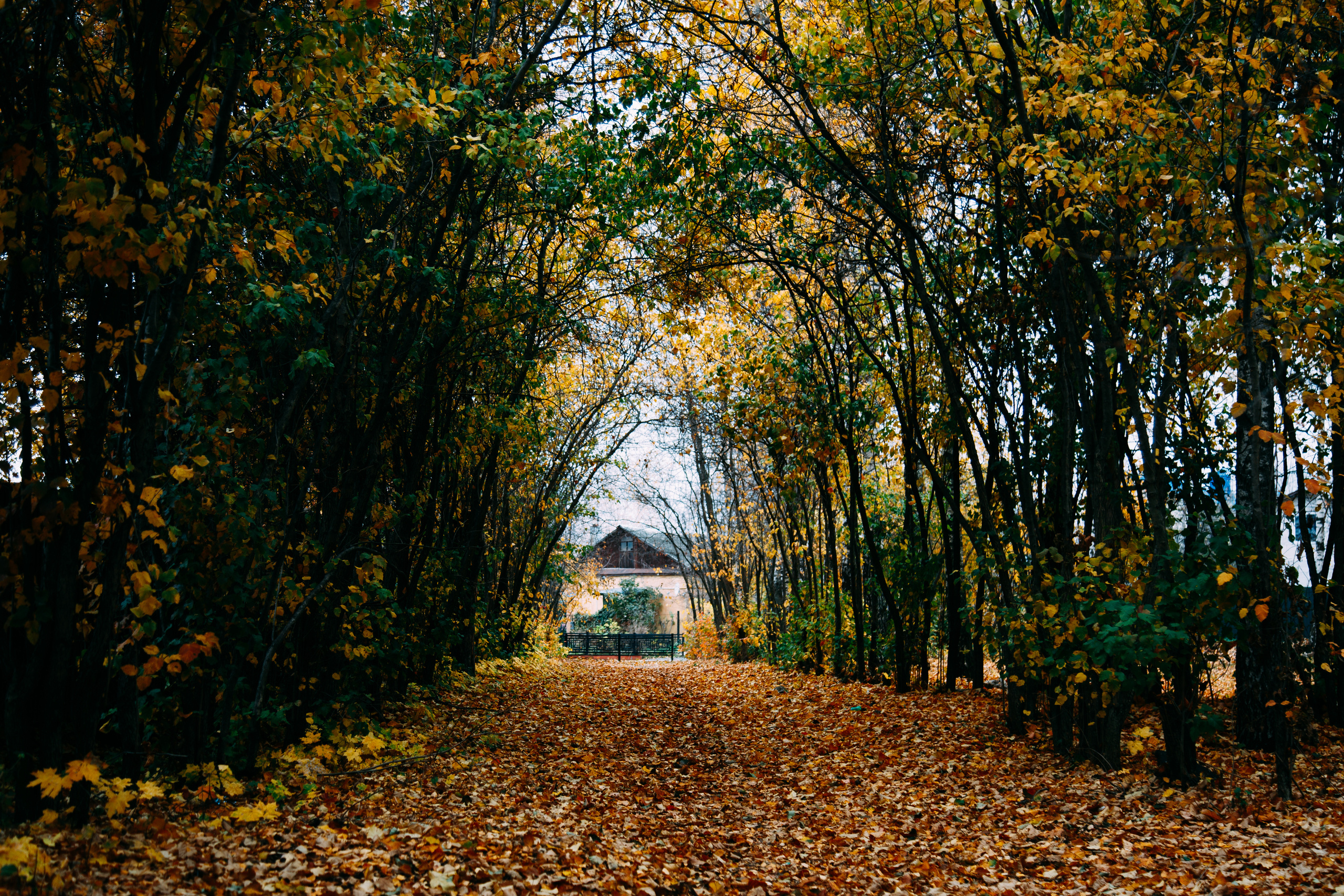 Коллекция пейзажных фотографий. Photographer Sonkina Tatiana (Tanya Ash)