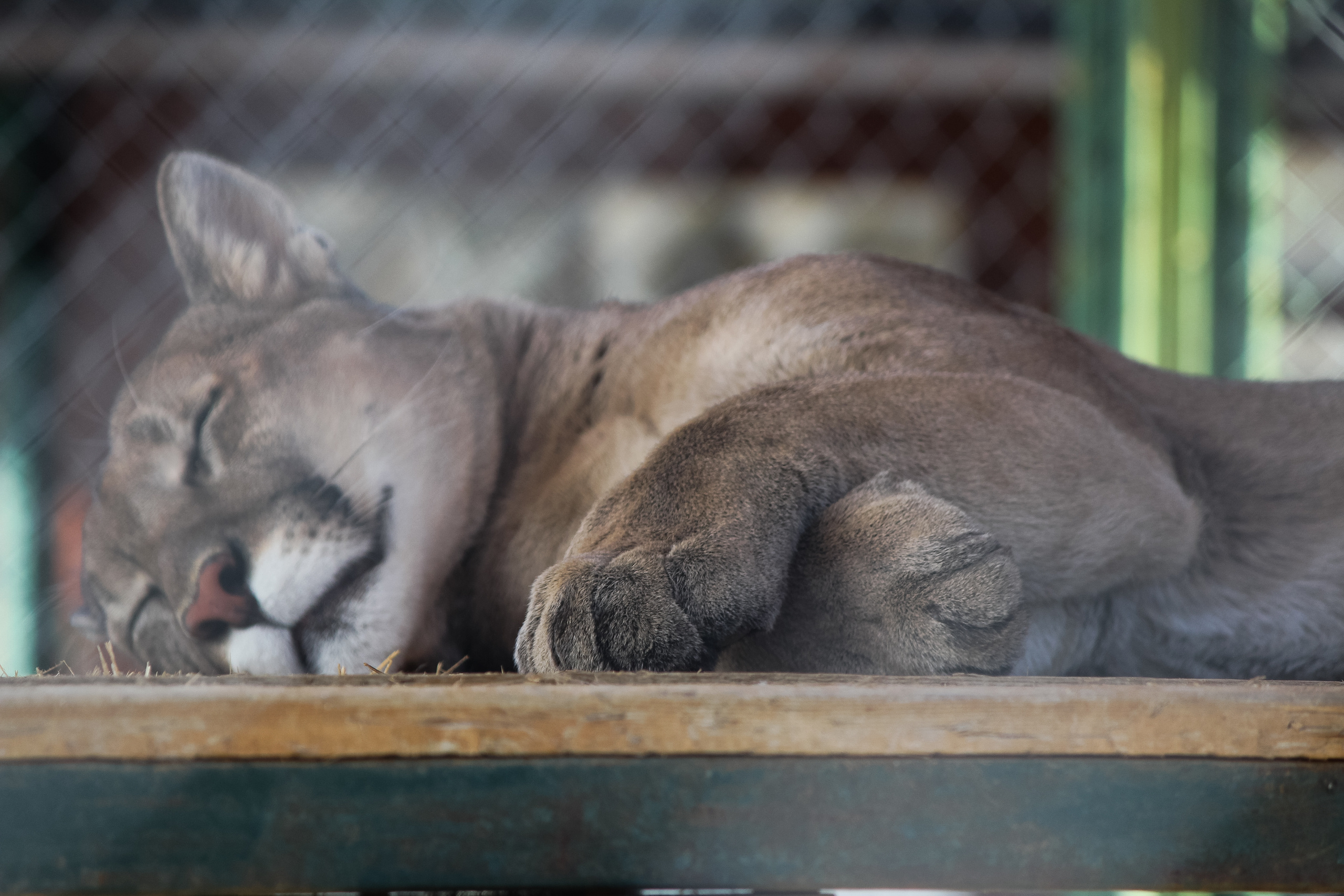 Экзотик Парк. Фотограф Сонкина Татьяна