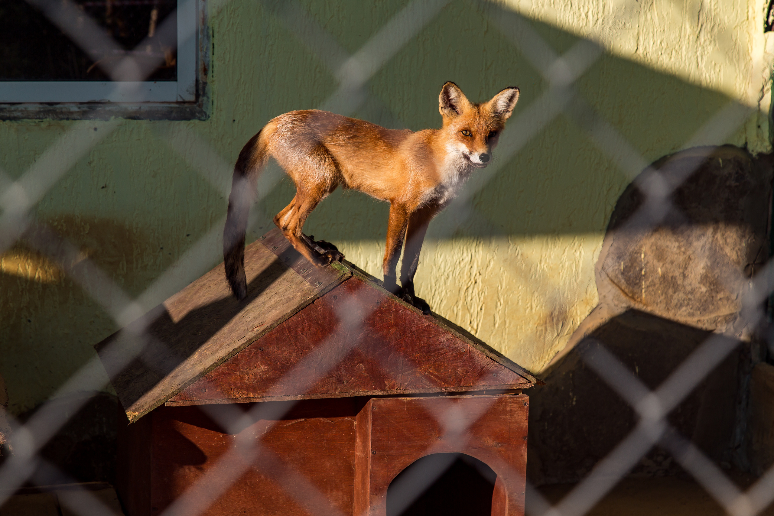 Экзотик Парк. Фотограф Сонкина Татьяна