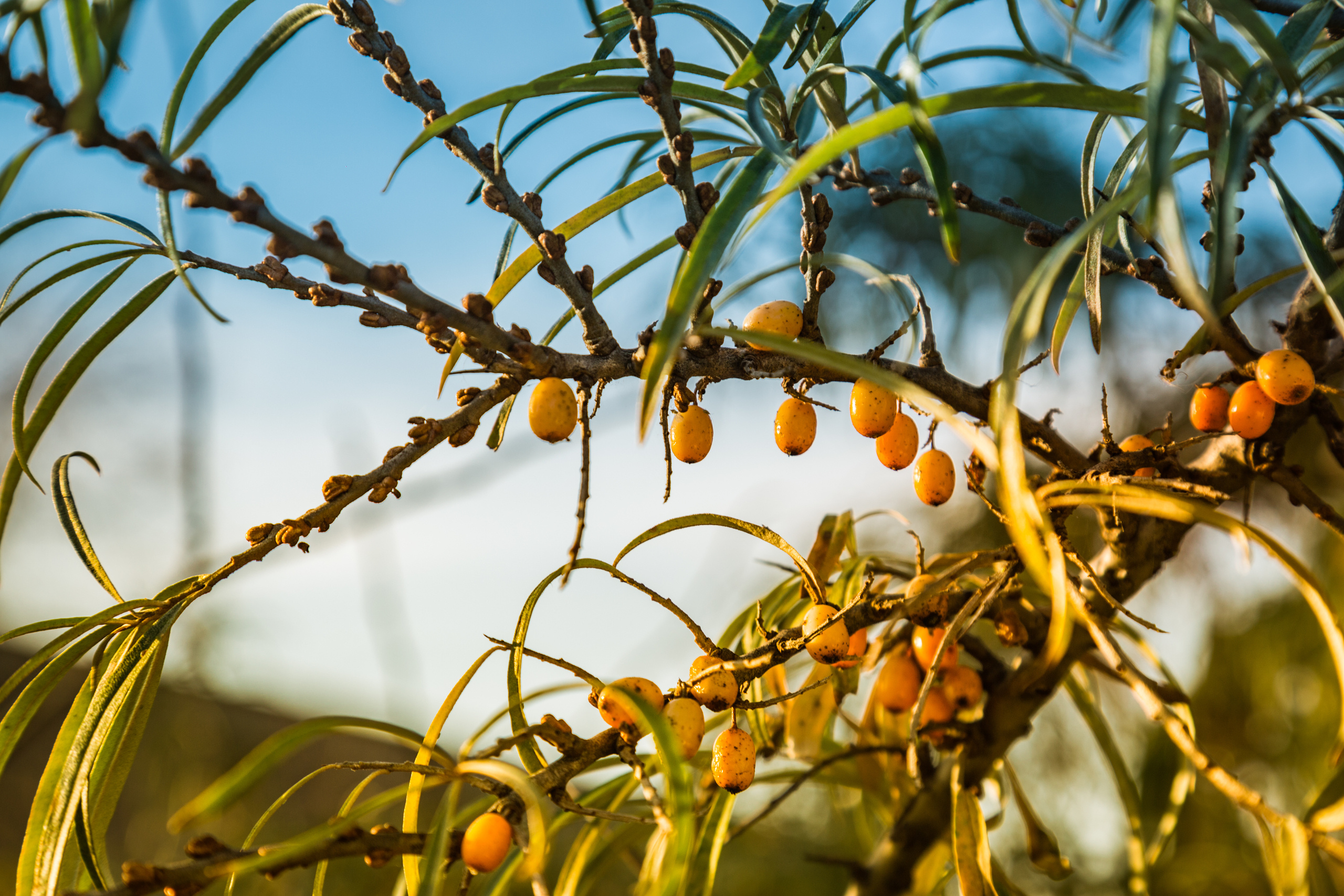 Коллекция пейзажных фотографий. Photographer Sonkina Tatiana (Tanya Ash)