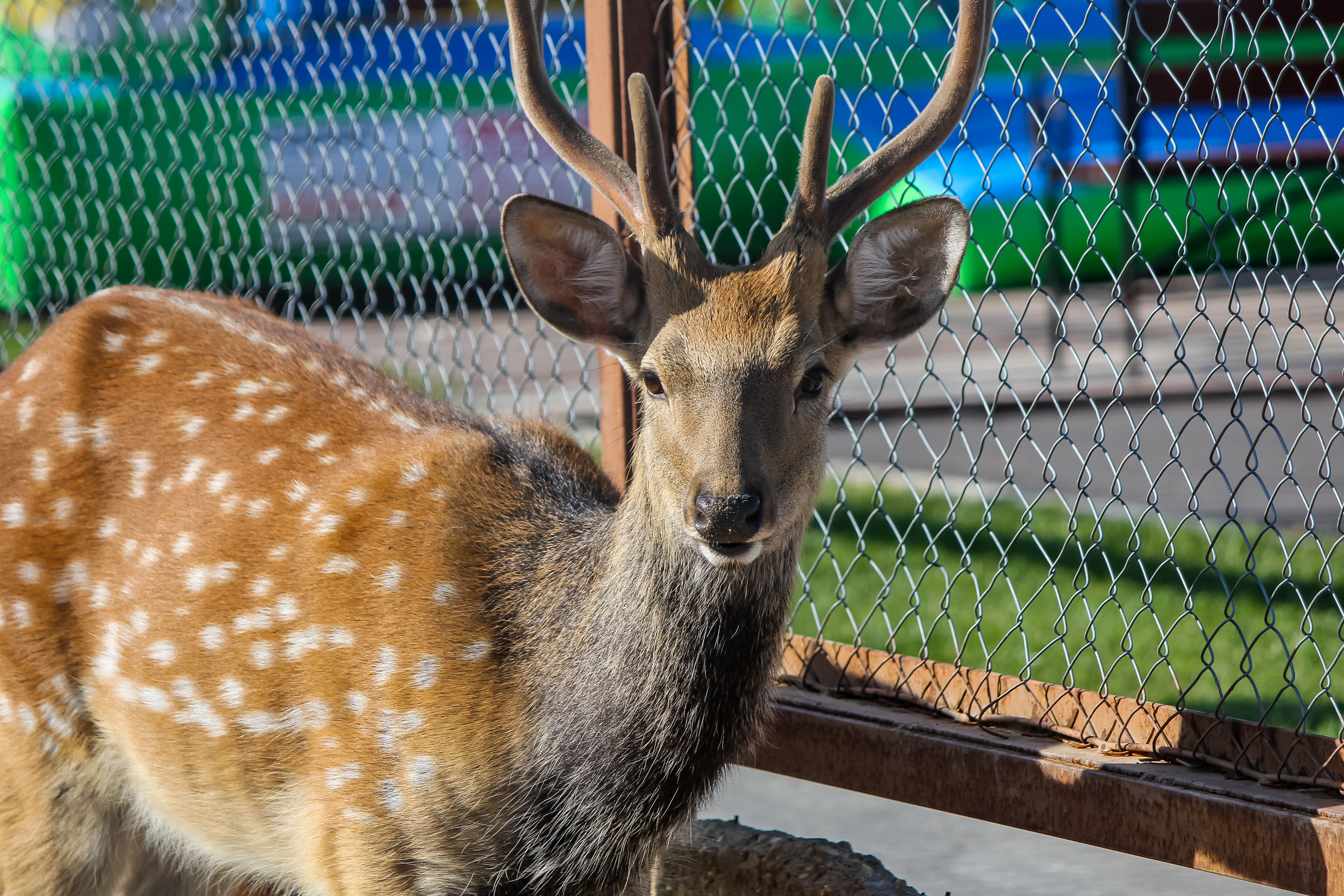 Экзотик Парк. Фотограф Сонкина Татьяна