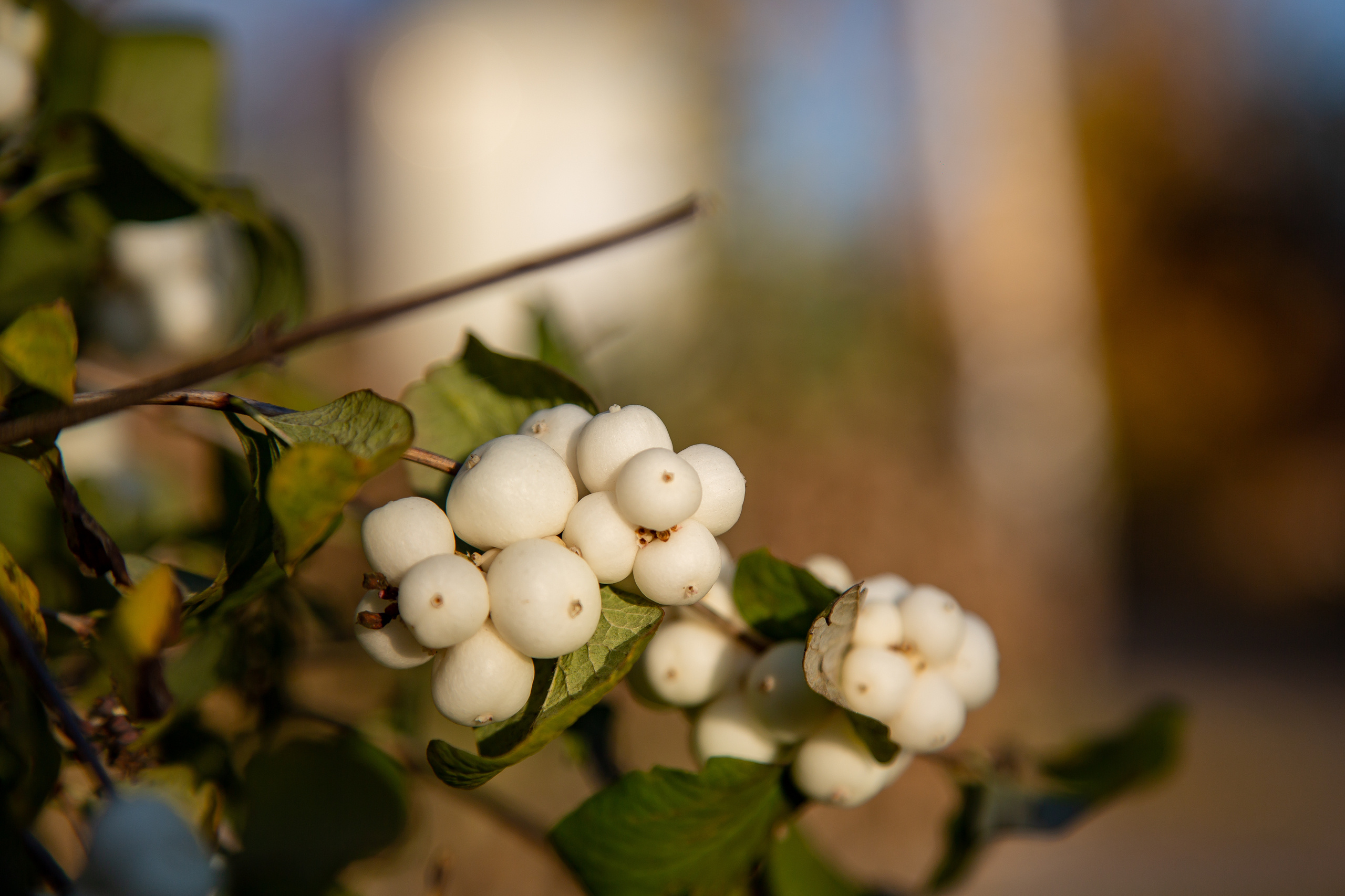 Коллекция пейзажных фотографий. Photographer Sonkina Tatiana (Tanya Ash)