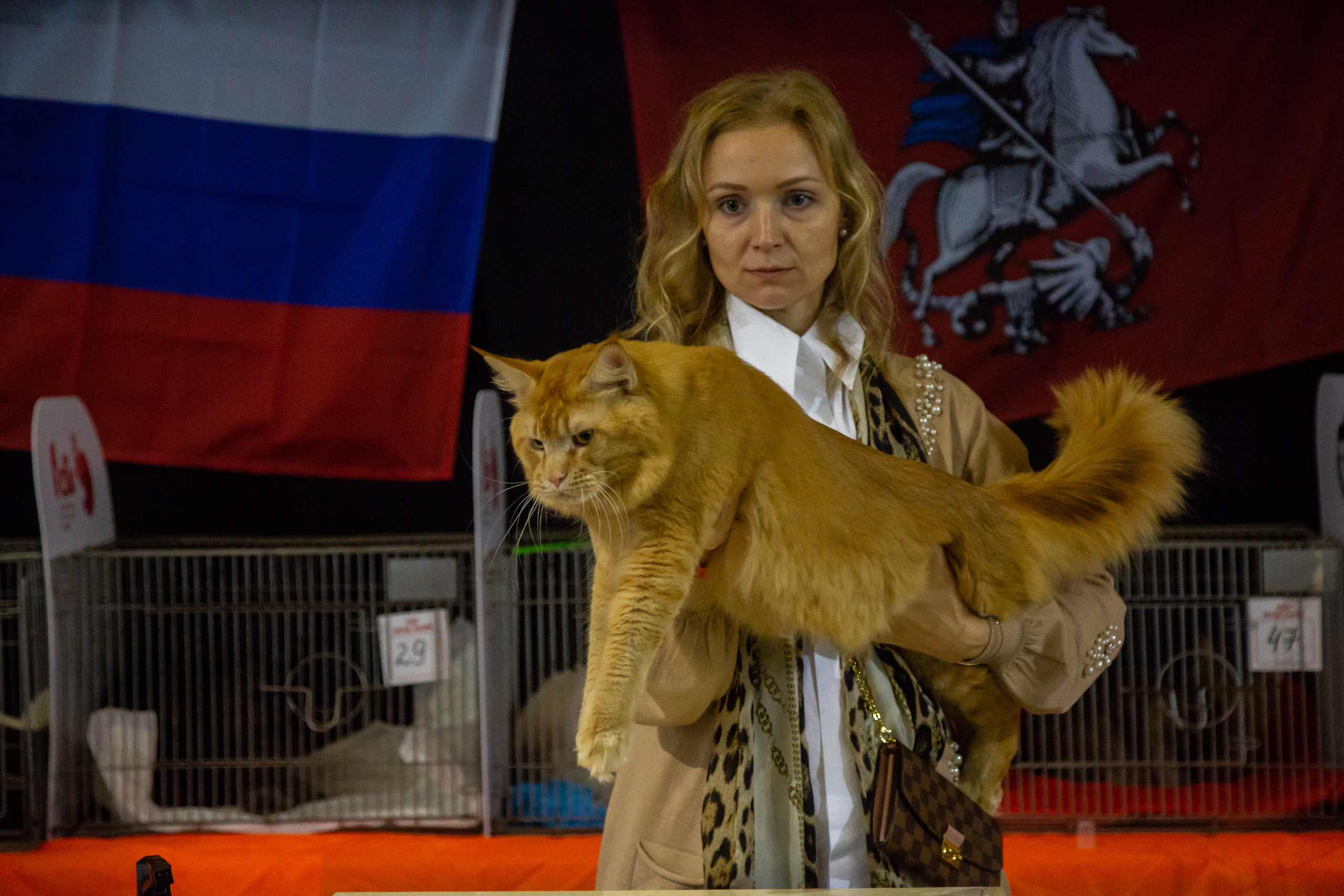 Felis 2018. Фотограф Сонкина Татьяна