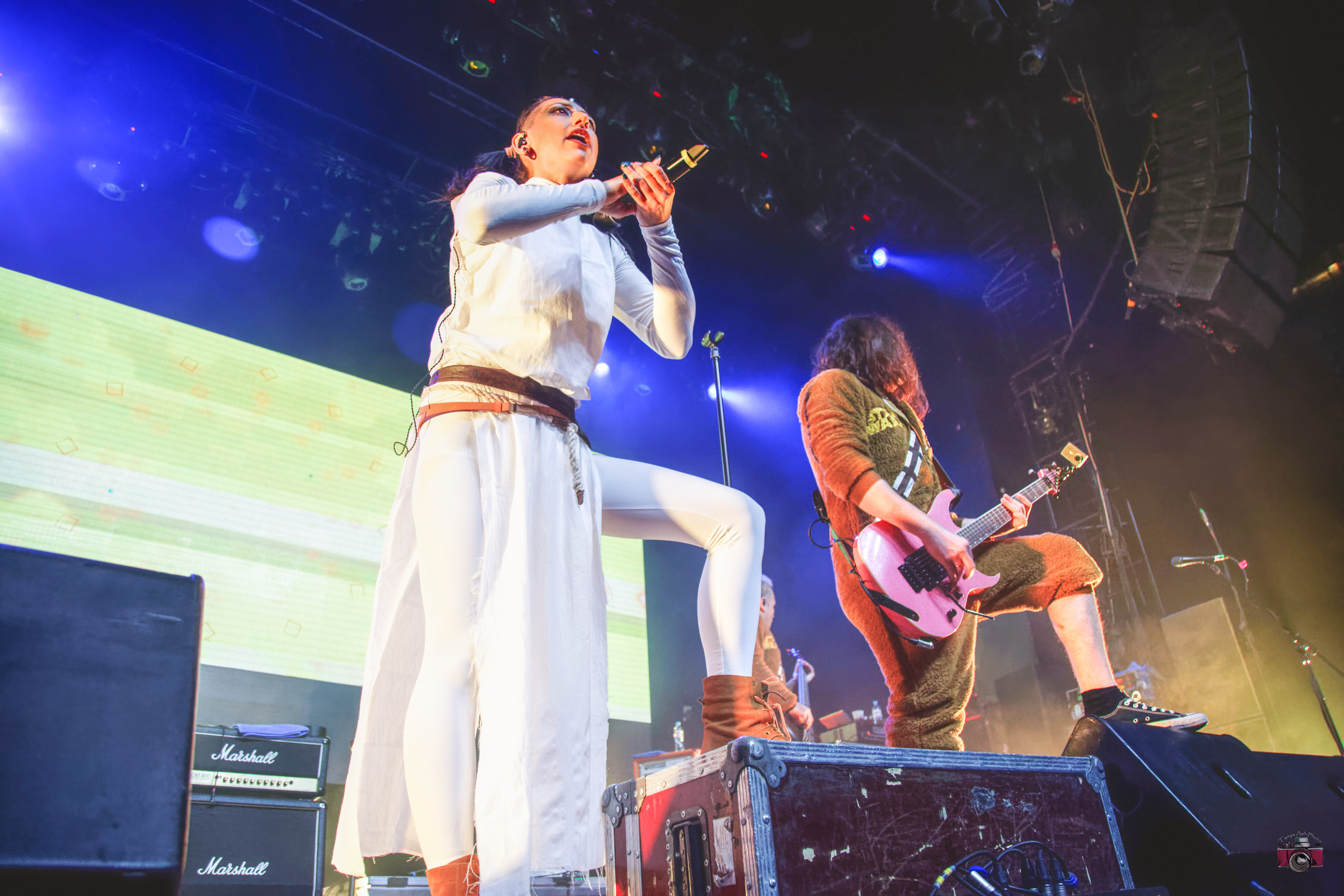 Рок-фестиваль Frost Fest 2019. Photographer Sonkina Tatiana (Tanya Ash)