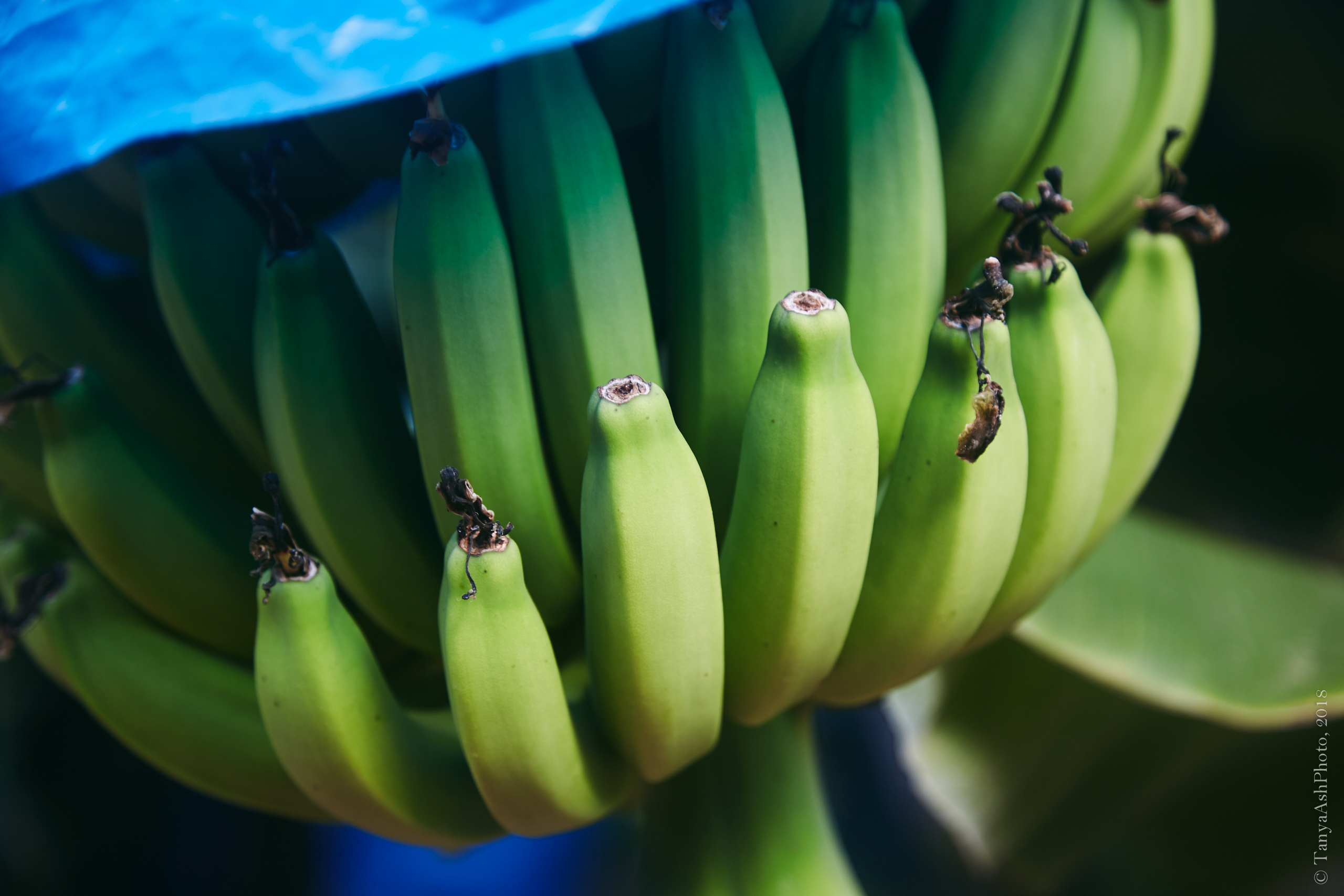 Фотографии Кипра и Пафоса. Photographer Sonkina Tatiana (Tanya Ash)