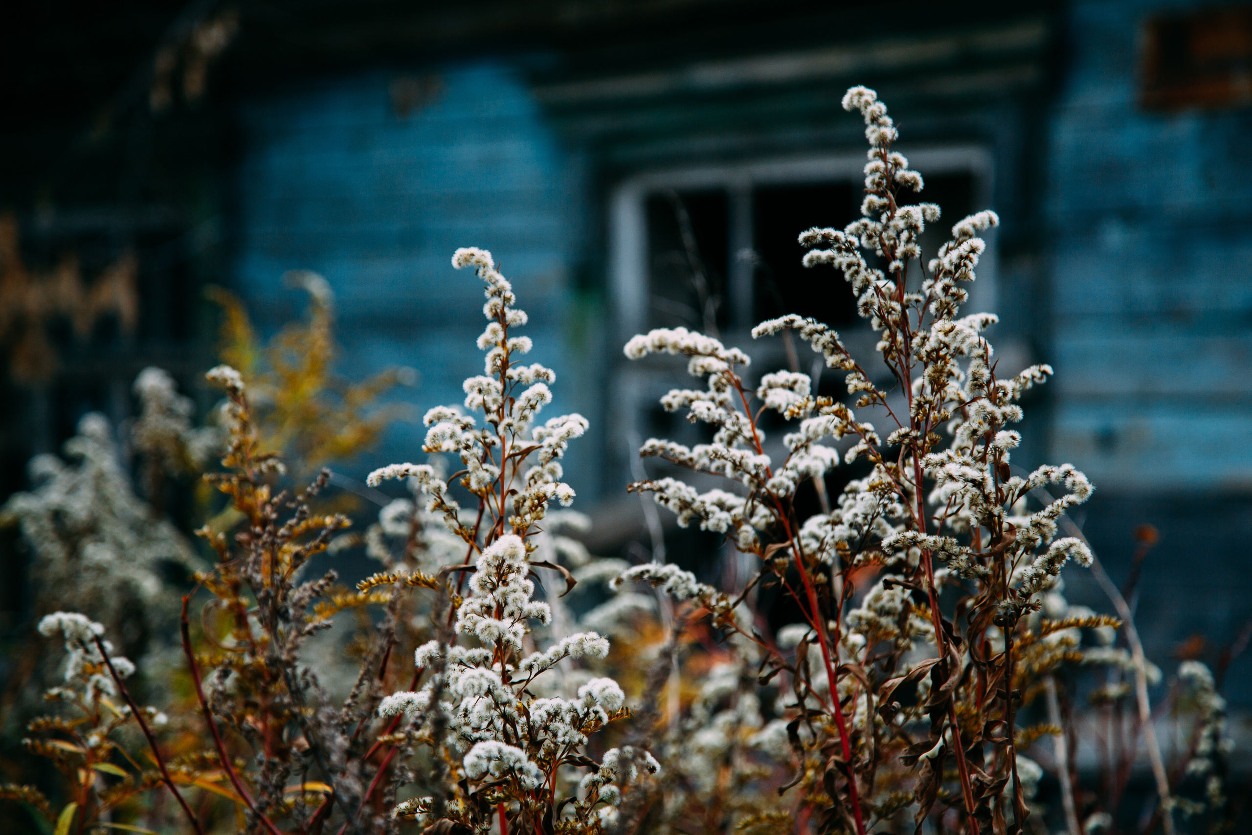 Коллекция пейзажных фотографий. Photographer Sonkina Tatiana (Tanya Ash)