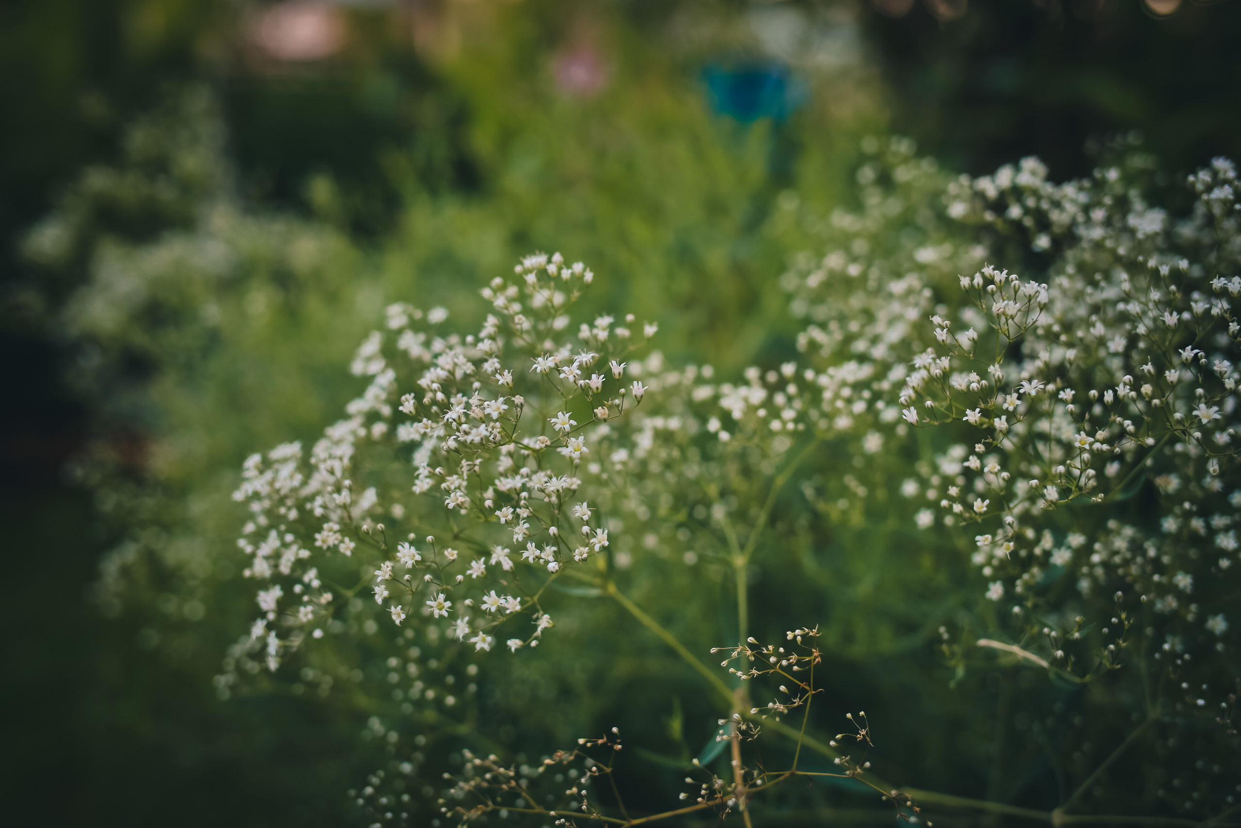 Коллекция пейзажных фотографий. Photographer Sonkina Tatiana (Tanya Ash)