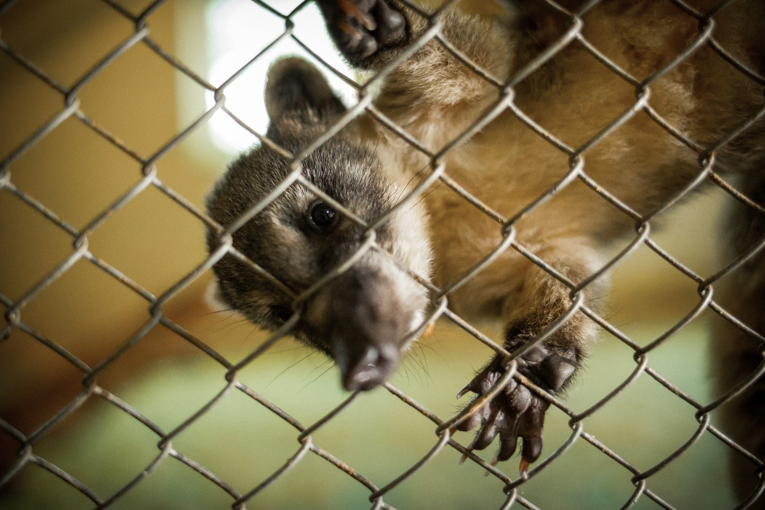 Экзотик Парк. Фотограф Сонкина Татьяна