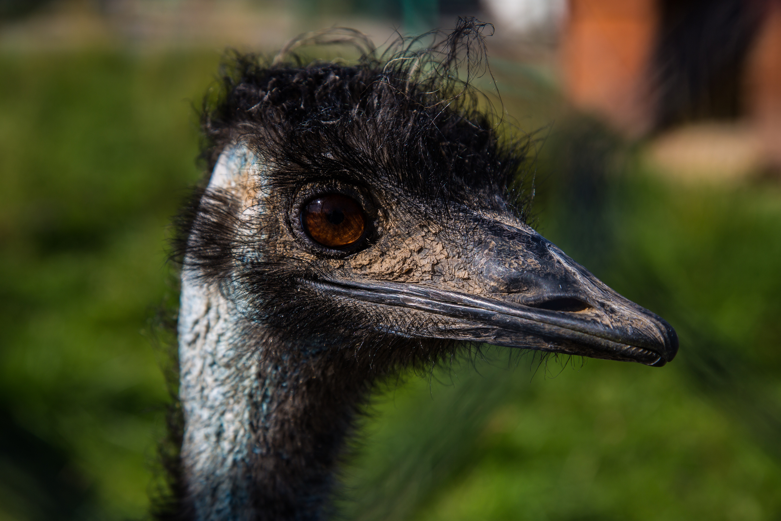 Экзотик Парк. Фотограф Сонкина Татьяна