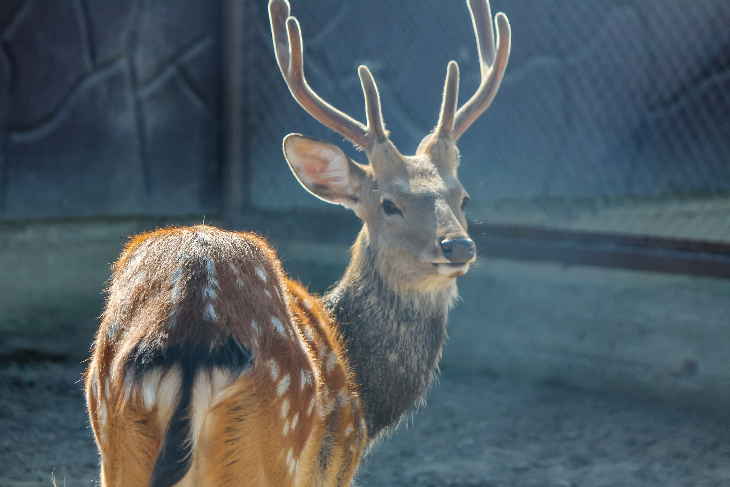 Экзотик Парк. Фотограф Сонкина Татьяна