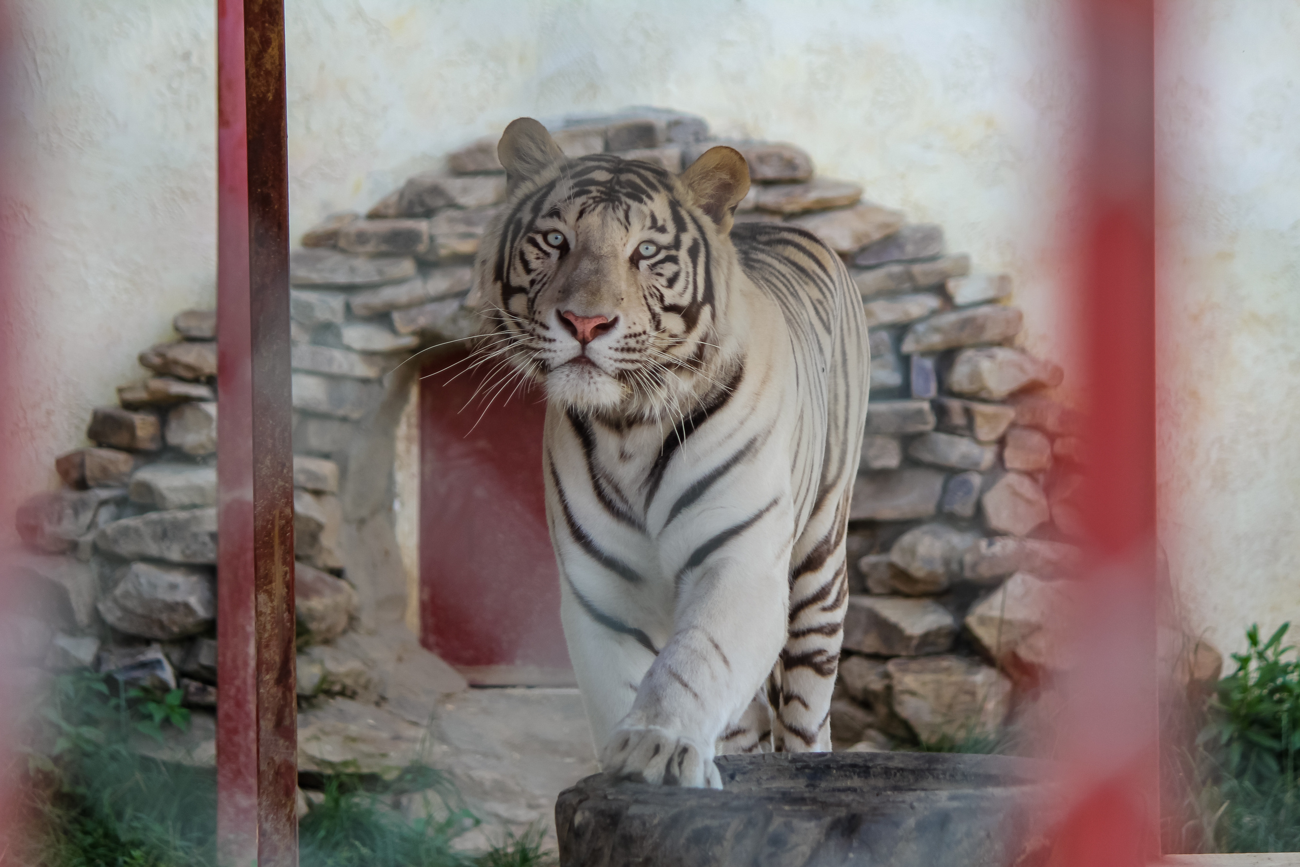 Экзотик Парк. Фотограф Сонкина Татьяна