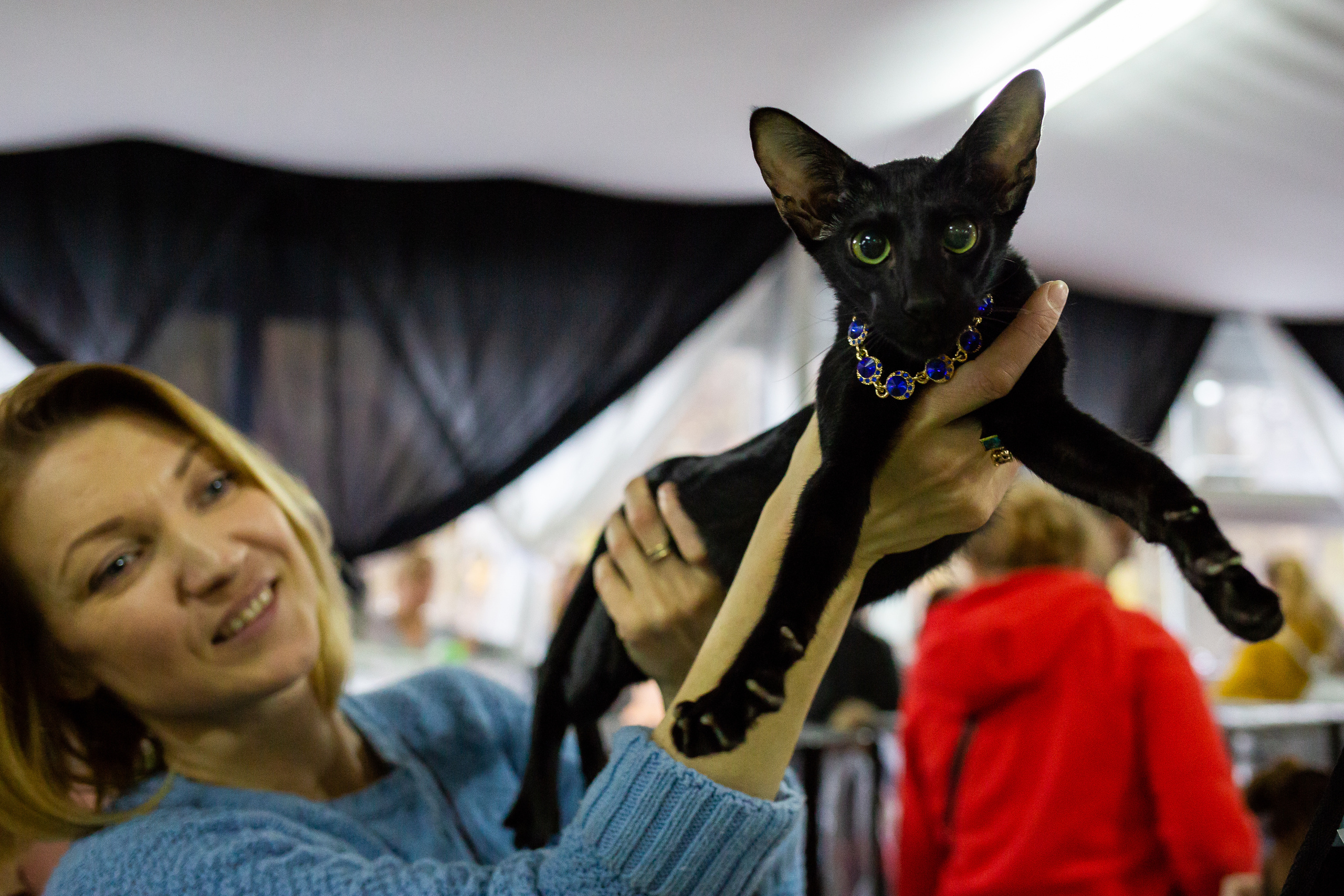 Felis 2018. Фотограф Сонкина Татьяна