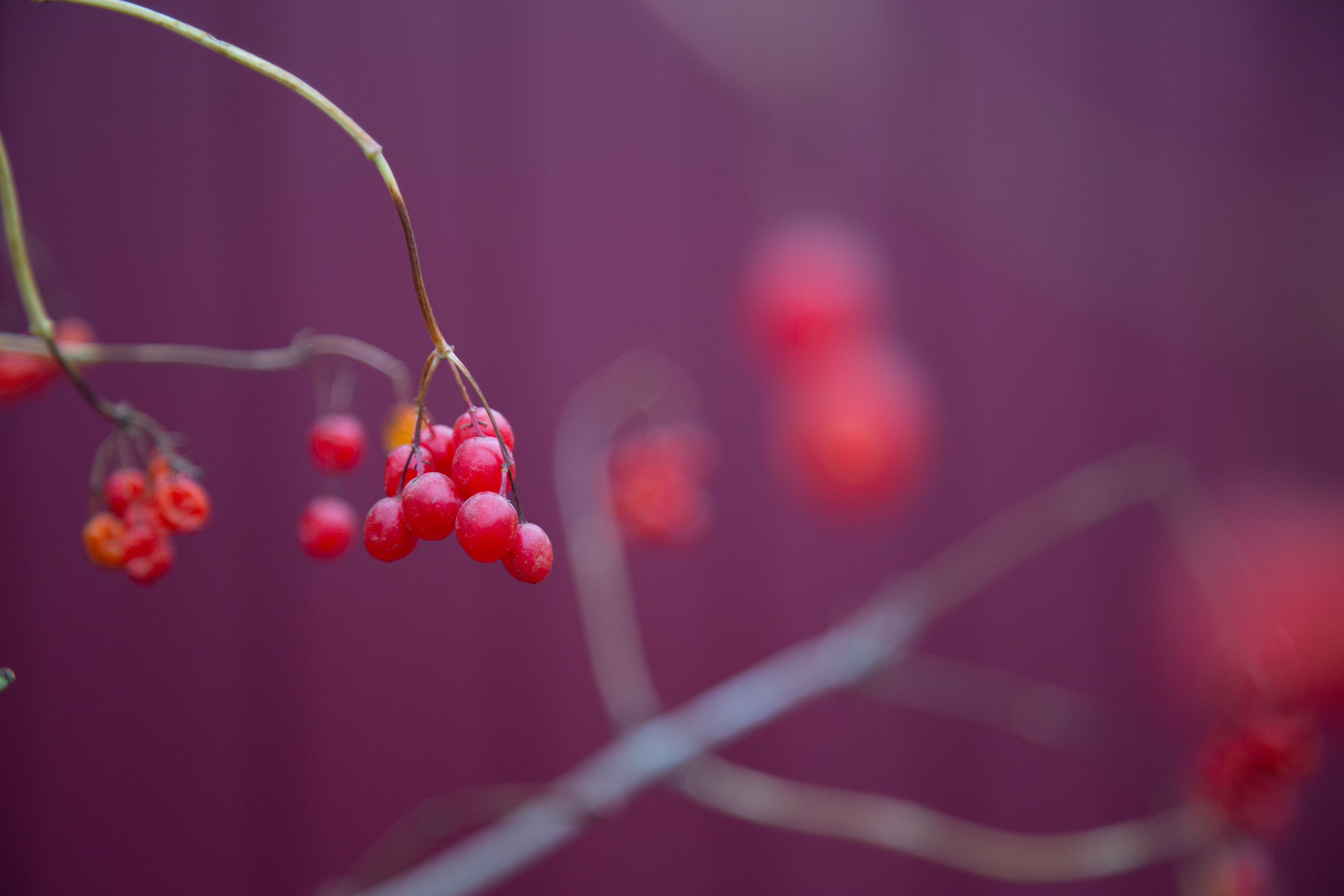 Коллекция пейзажных фотографий. Photographer Sonkina Tatiana (Tanya Ash)