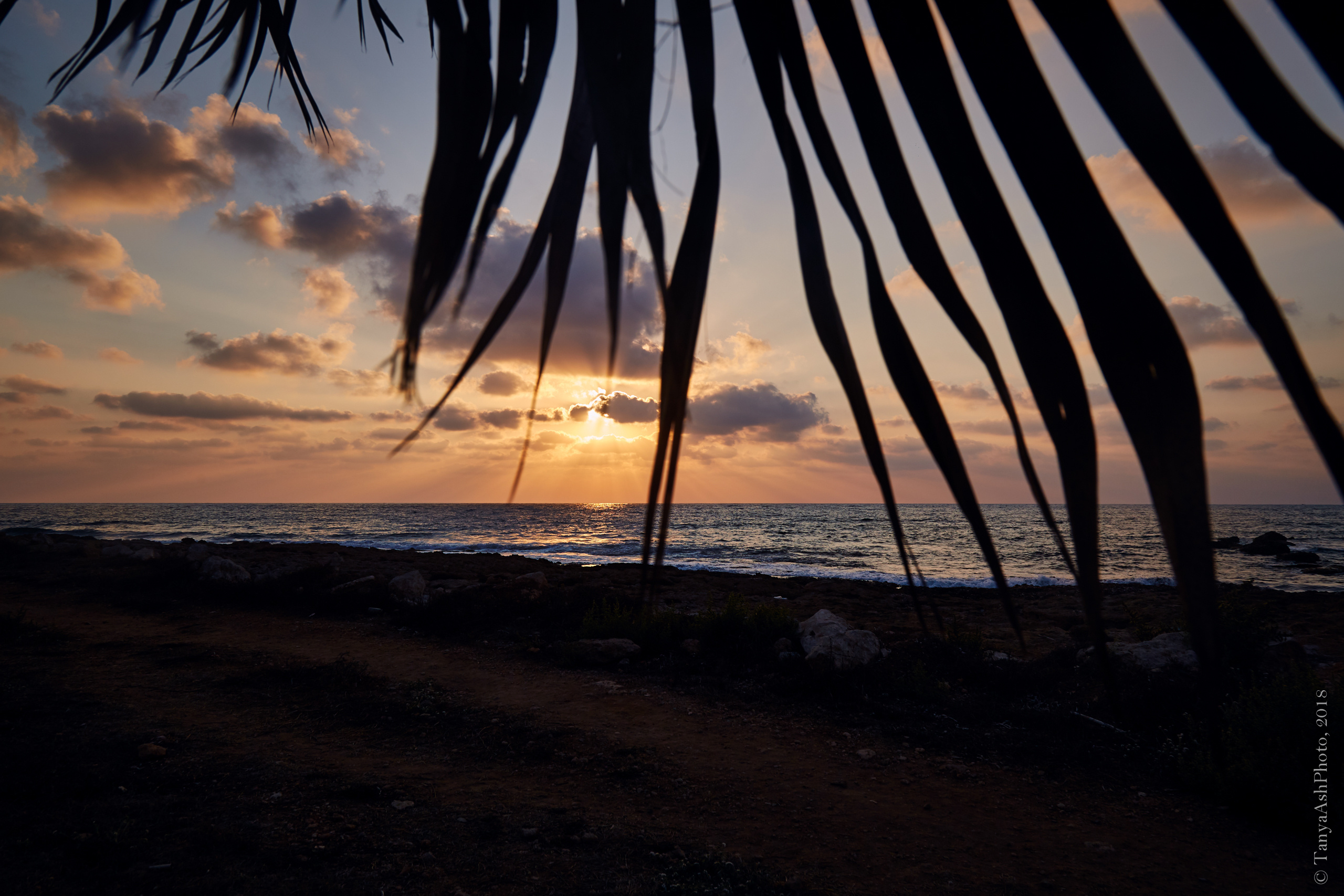 Фотографии Кипра и Пафоса. Photographer Sonkina Tatiana (Tanya Ash)